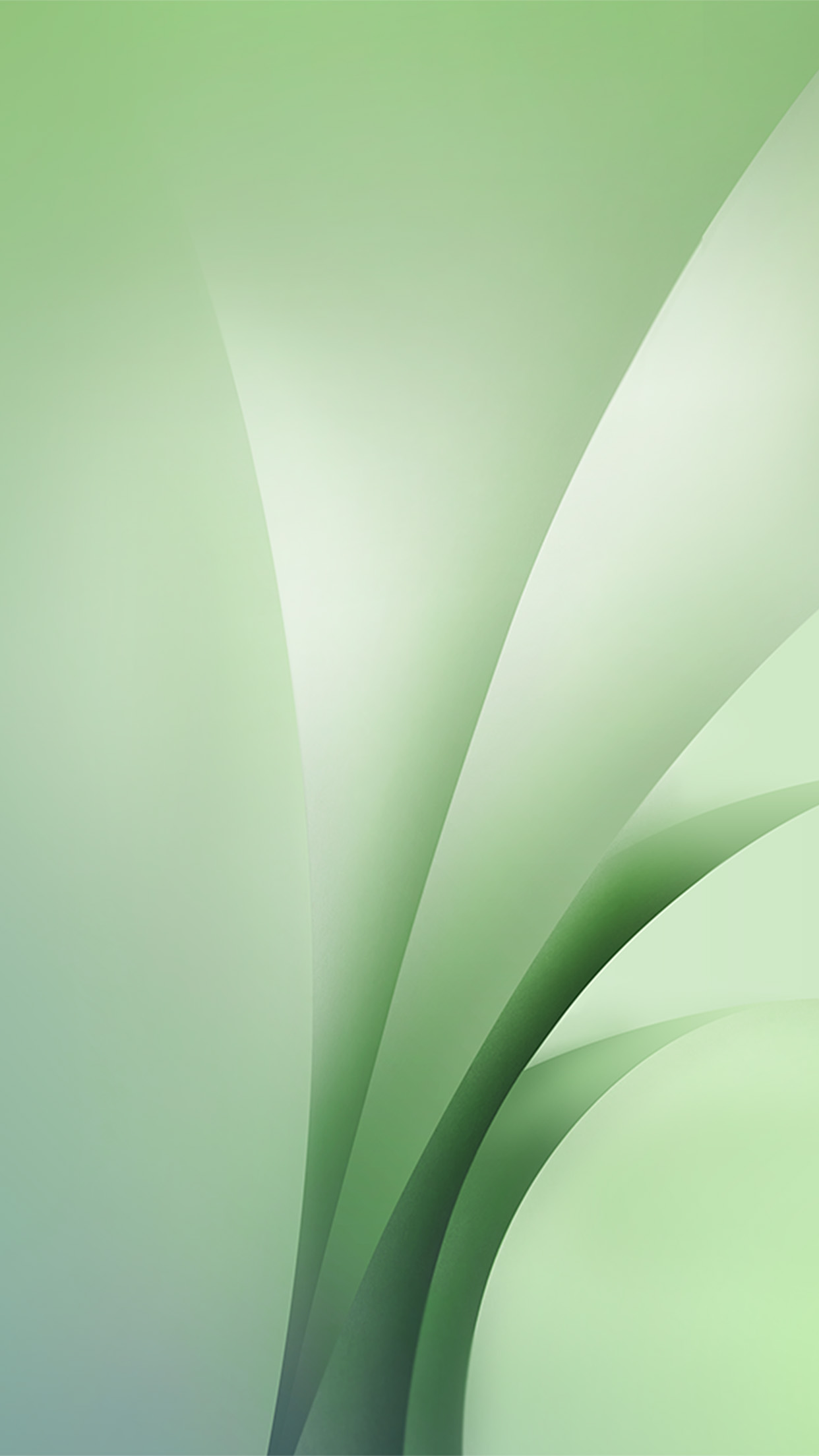 fond d'écran samsung,vert,ligne,feuille,fermer,plante