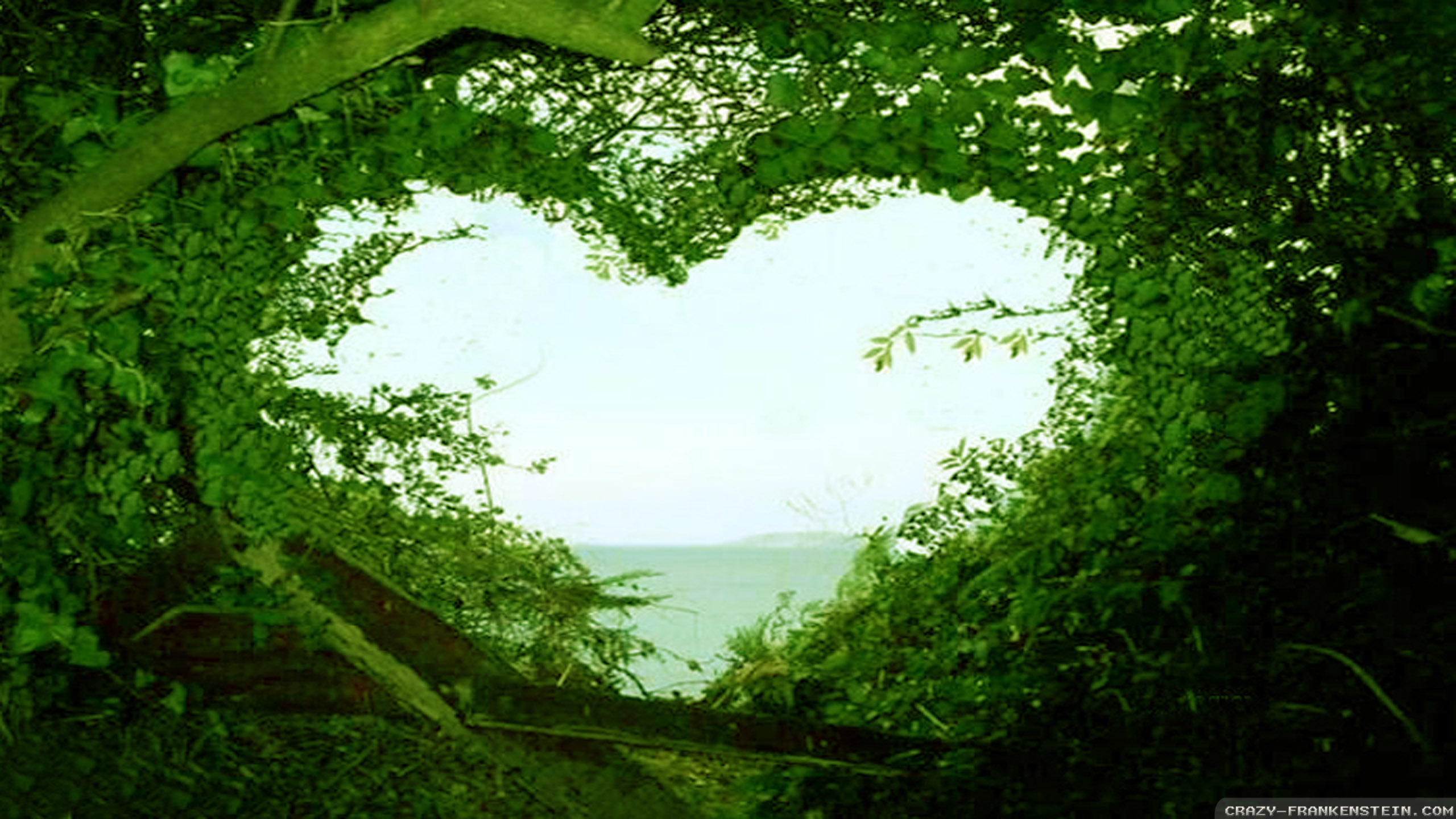 自然の壁紙のhd,緑,自然,自然の風景,空,木