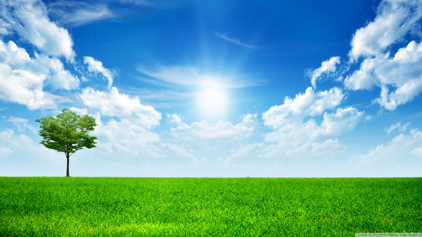 nature wallpaper hd,sky,natural landscape,people in nature,green,nature