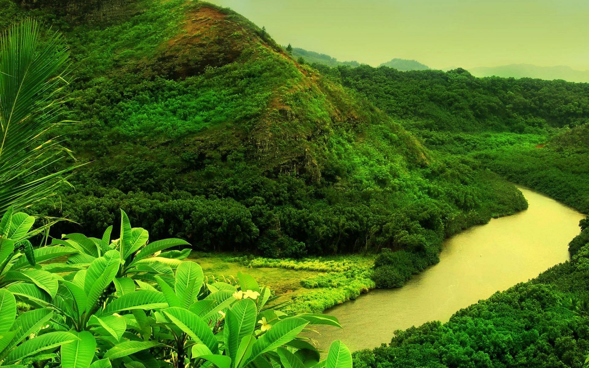 natura wallpaper hd,paesaggio naturale,natura,verde,risorse idriche,giungla