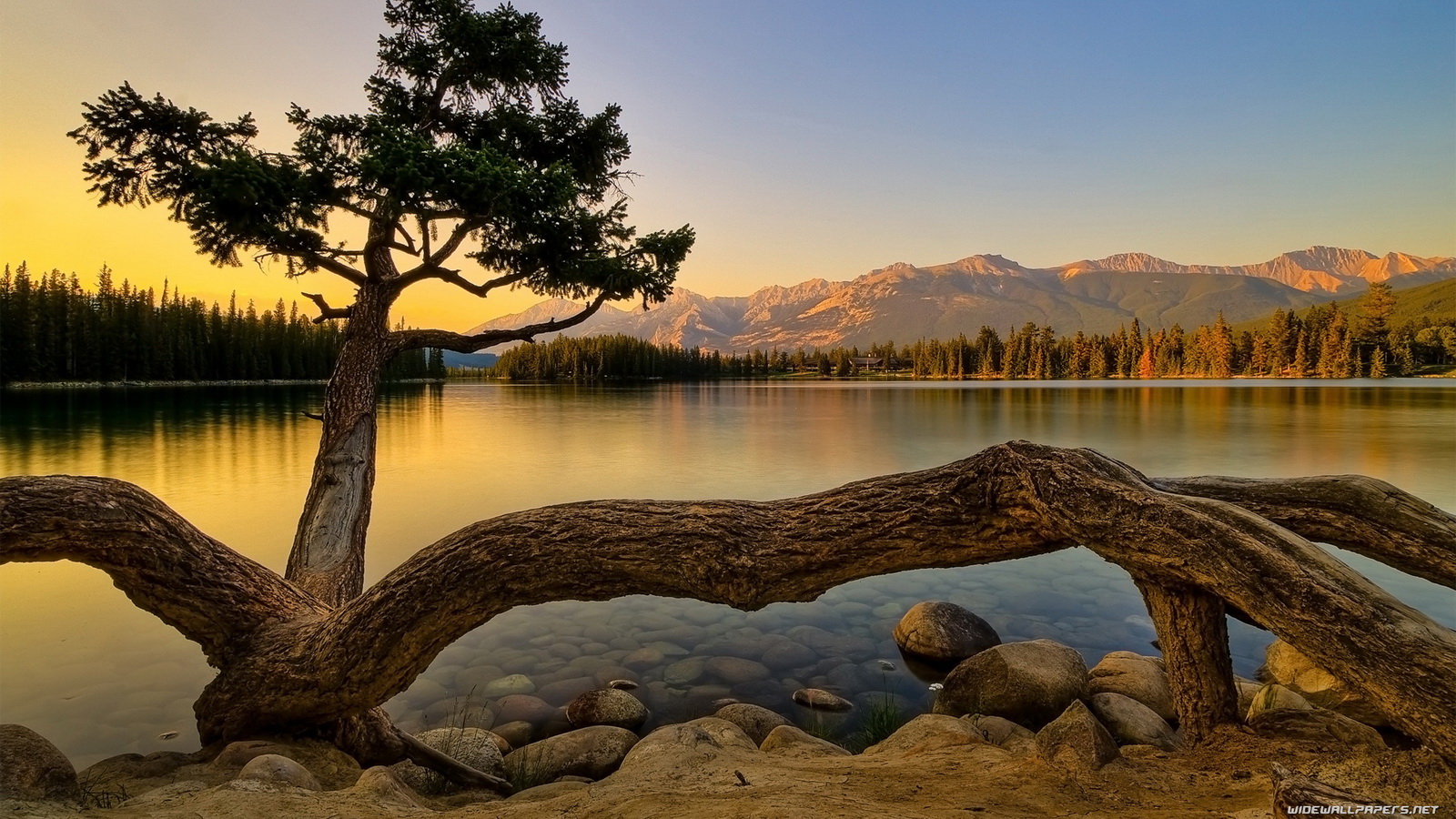 naturaleza fondos de pantalla hd,naturaleza,paisaje natural,agua,árbol,cielo