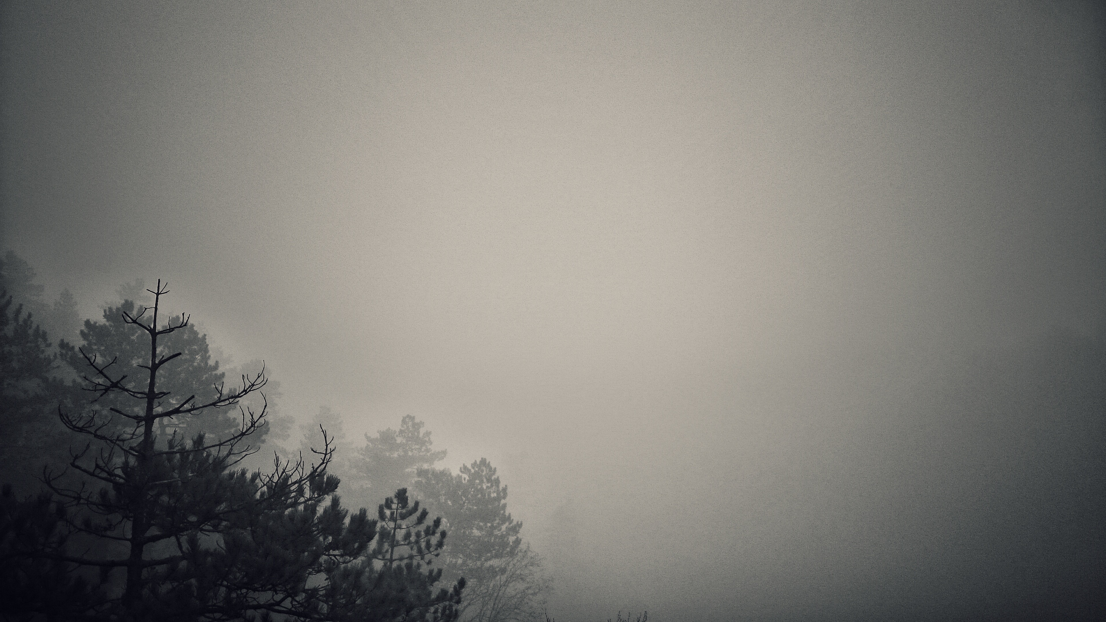 natur tapete hd,himmel,weiß,wolke,atmosphäre,natur