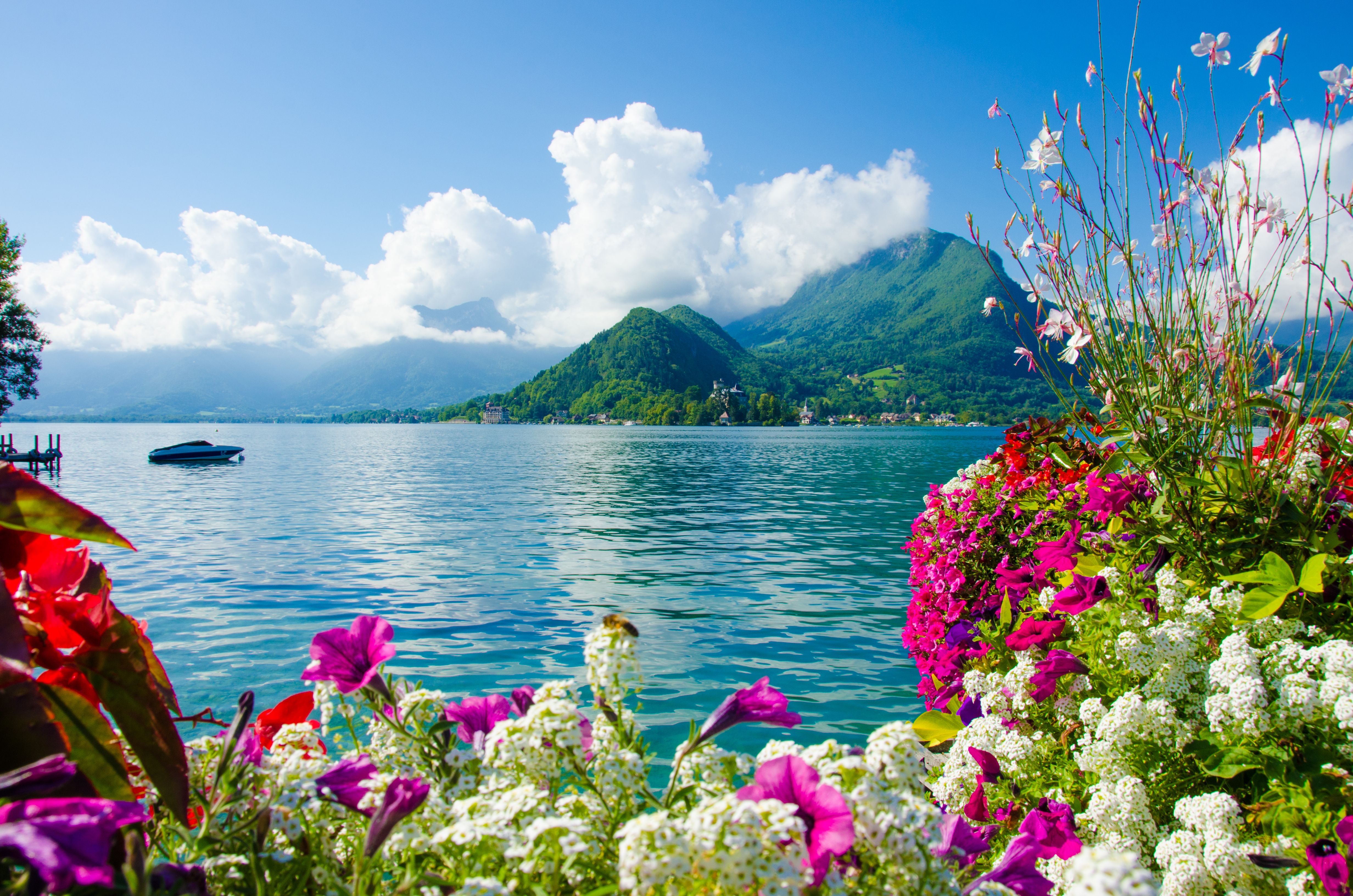 naturaleza fondos de pantalla hd,paisaje natural,naturaleza,cielo,lago,flor