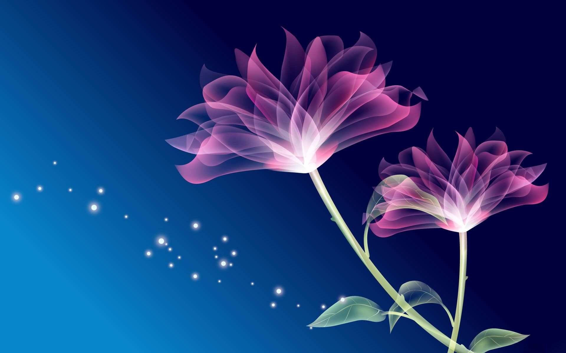 3d hd wallpapers,purple,sky,violet,petal,flower