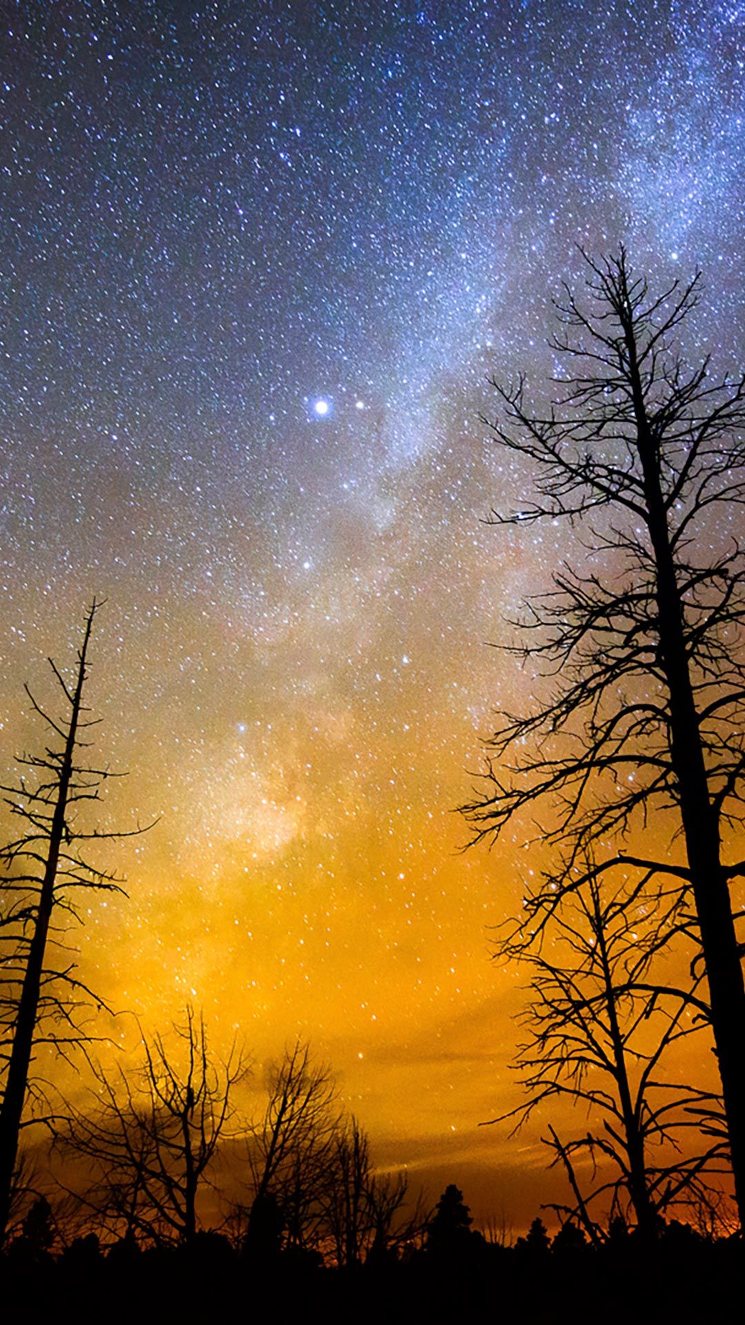 hd wallpaper für handys,himmel,natur,baum,natürliche landschaft,wolke