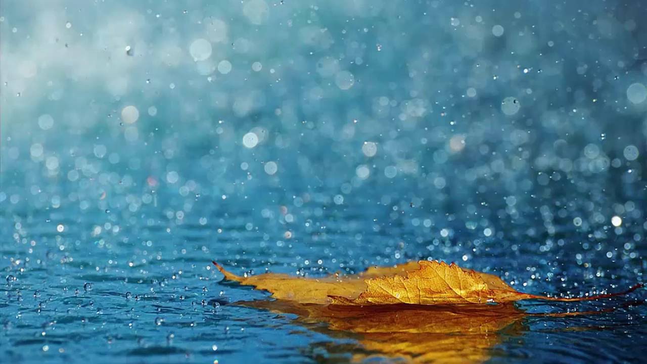 3d hdの壁紙,水,葉,空,自然の風景,雨
