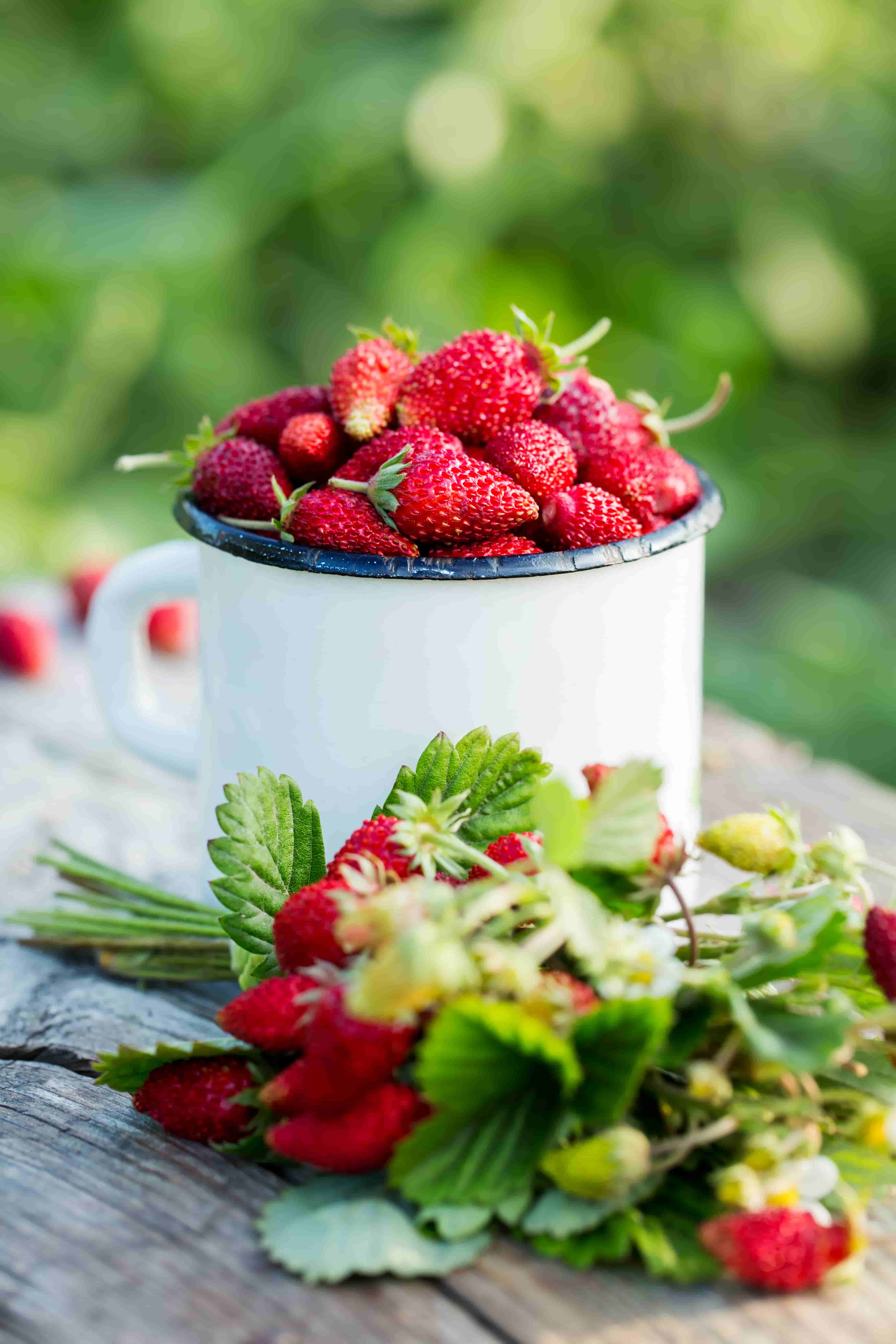 descargar fondos de alta definición,comida,fresa,baya,fruta,alimentos naturales