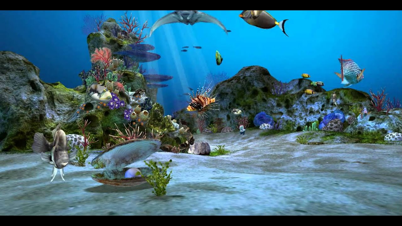 living marine aquarium screensaver