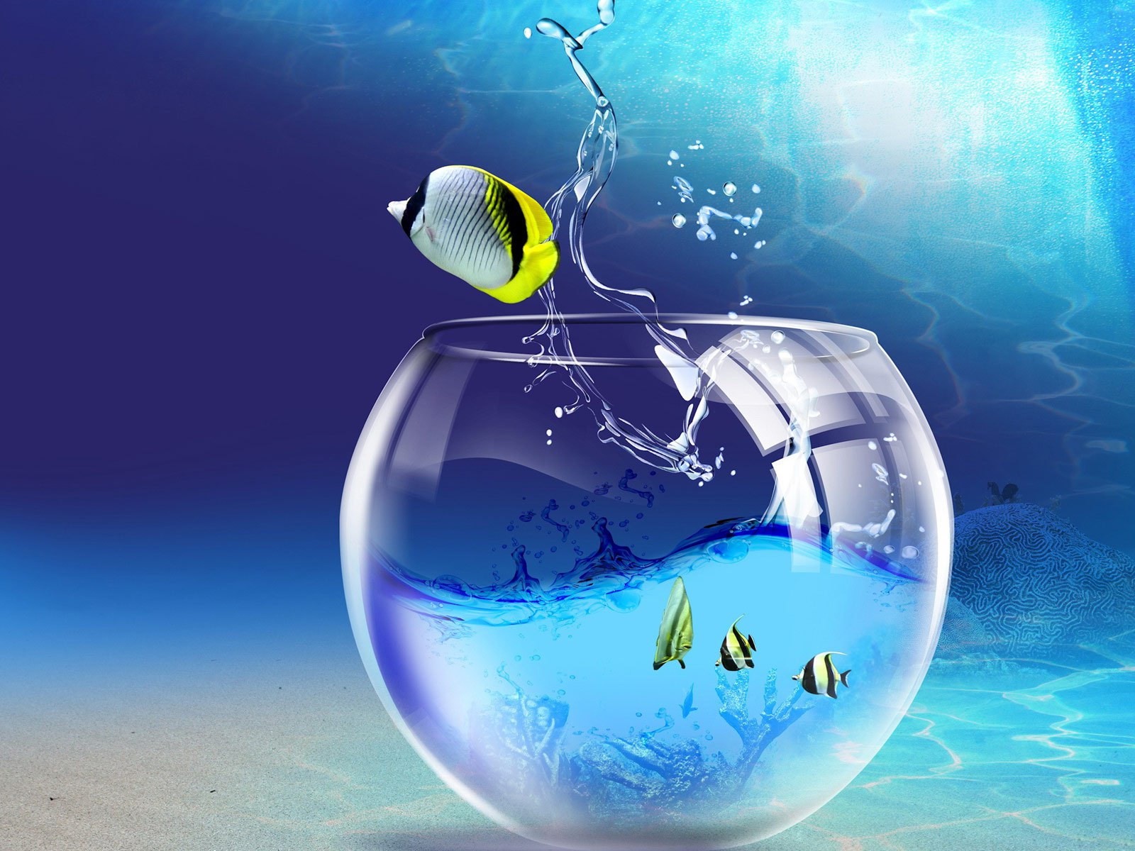 3d wallpaper live,water,world,graphic design,organism,earth