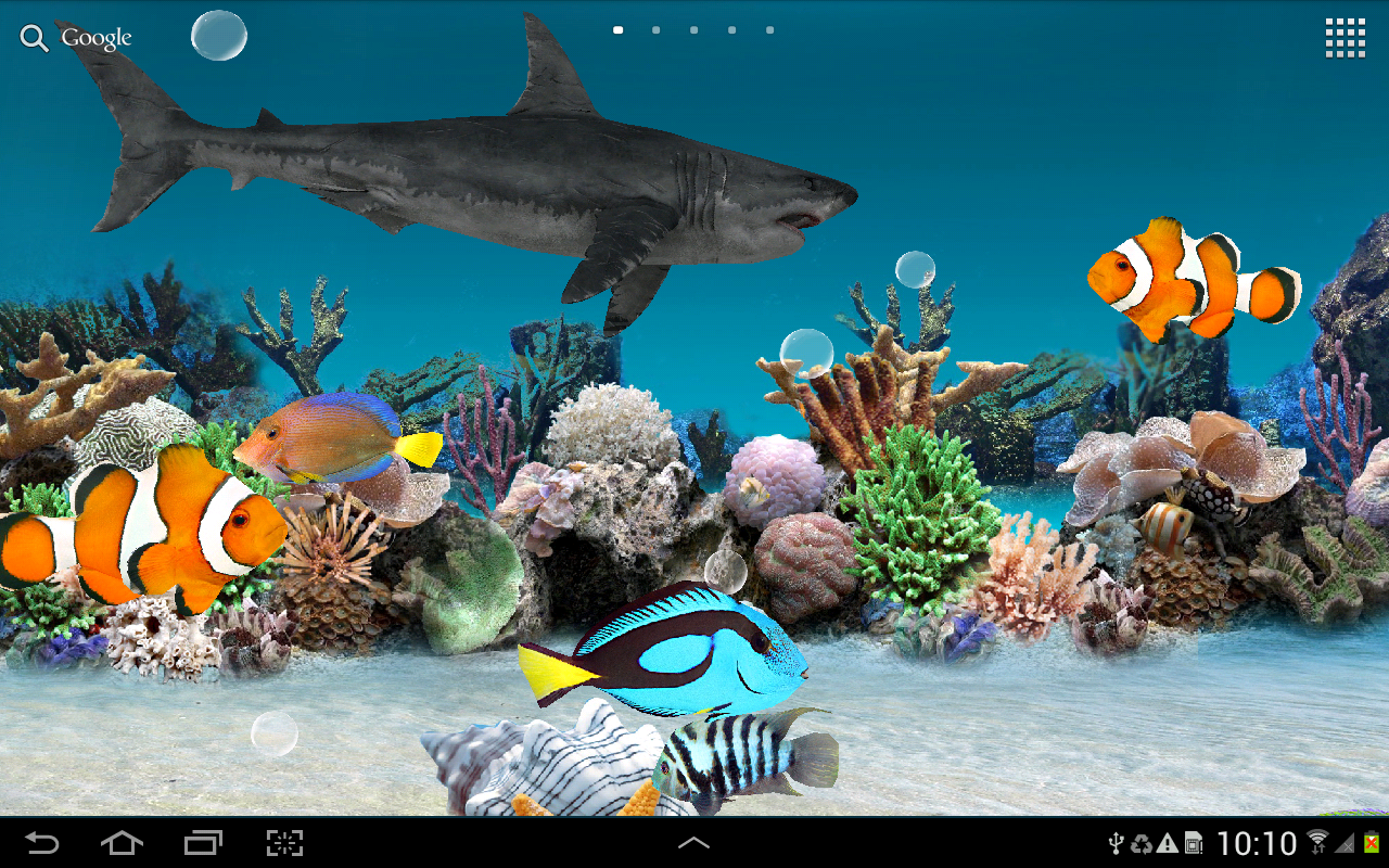 fondo de pantalla 3d en vivo,pez,pez,biología marina,submarino,peces de arrecife de coral