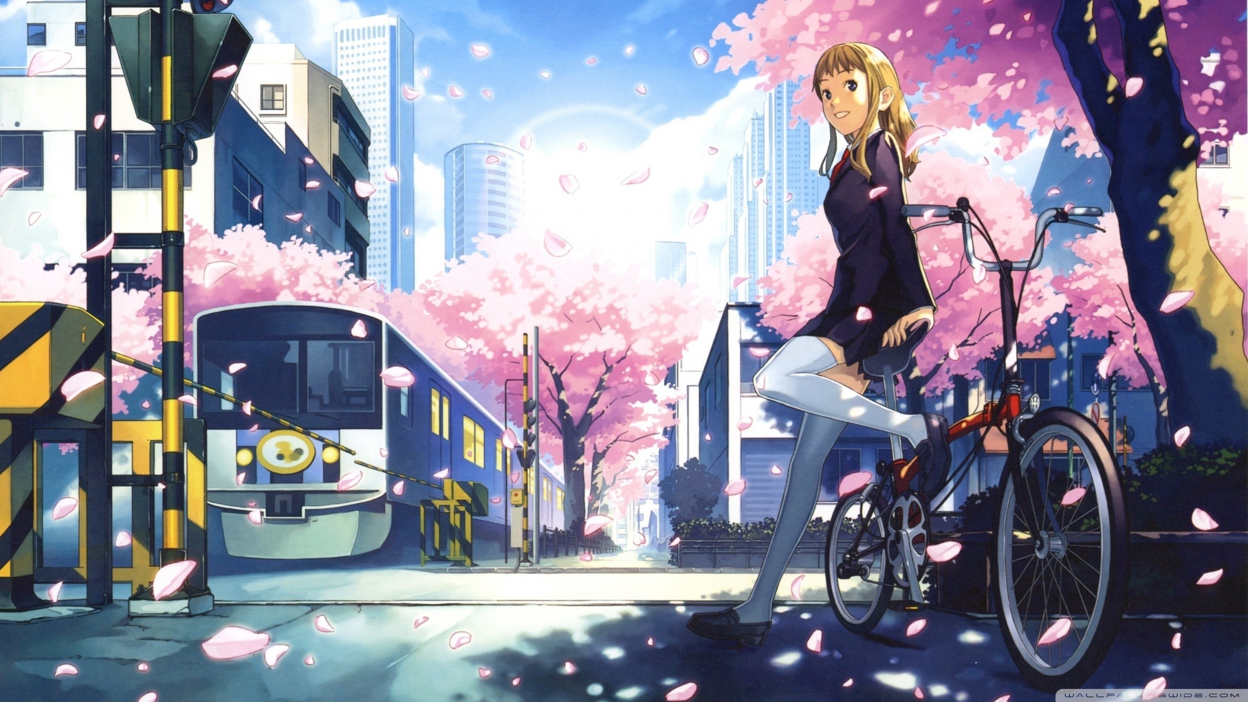 anime wallpaper,anime,product,transport,mode of transport,illustration