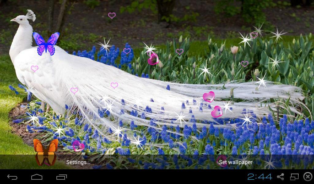 fondo de pantalla 3d en vivo,naturaleza,flor,lavanda,planta,flor silvestre