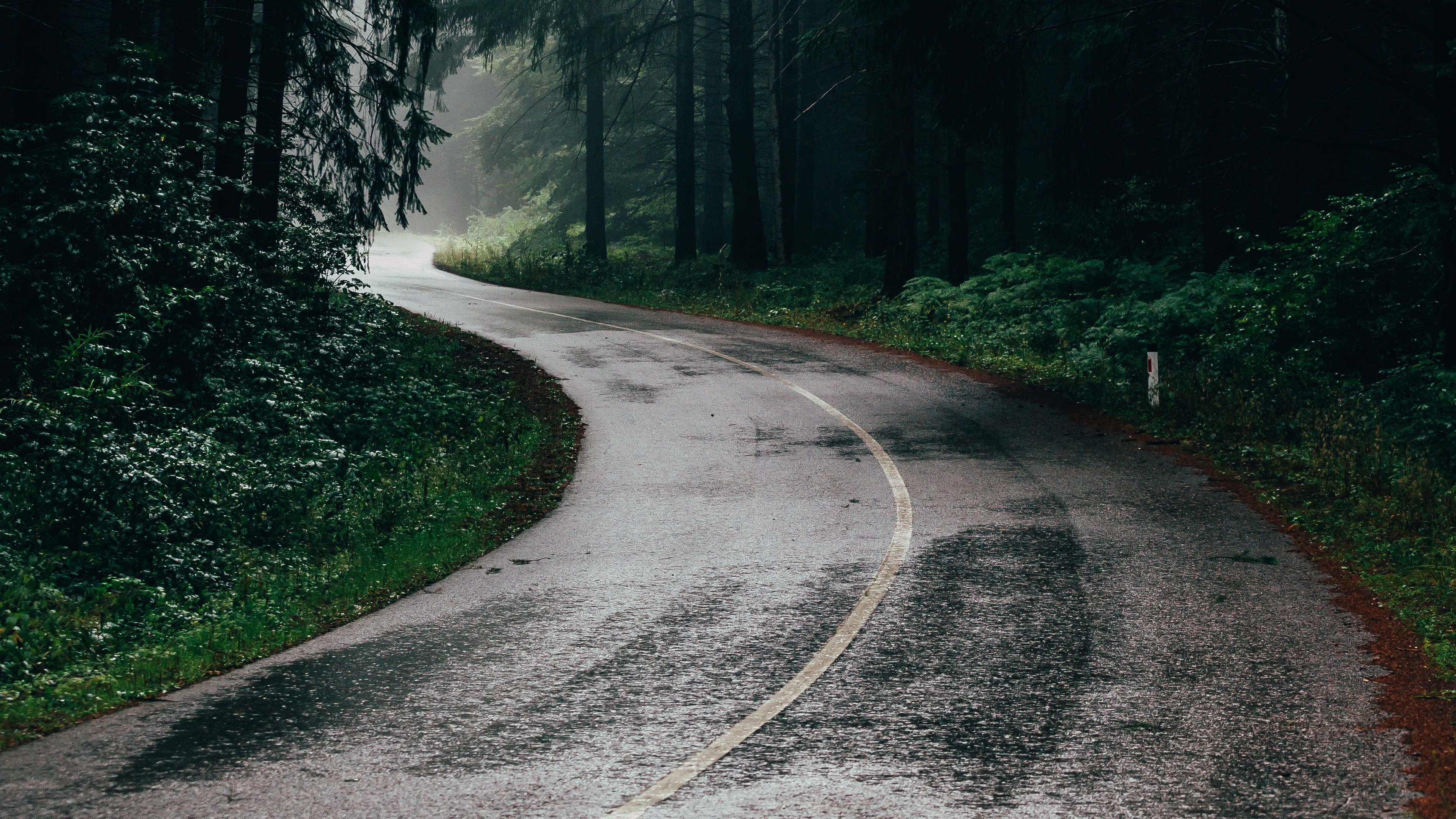 4k wallpaper,road,nature,green,asphalt,tree