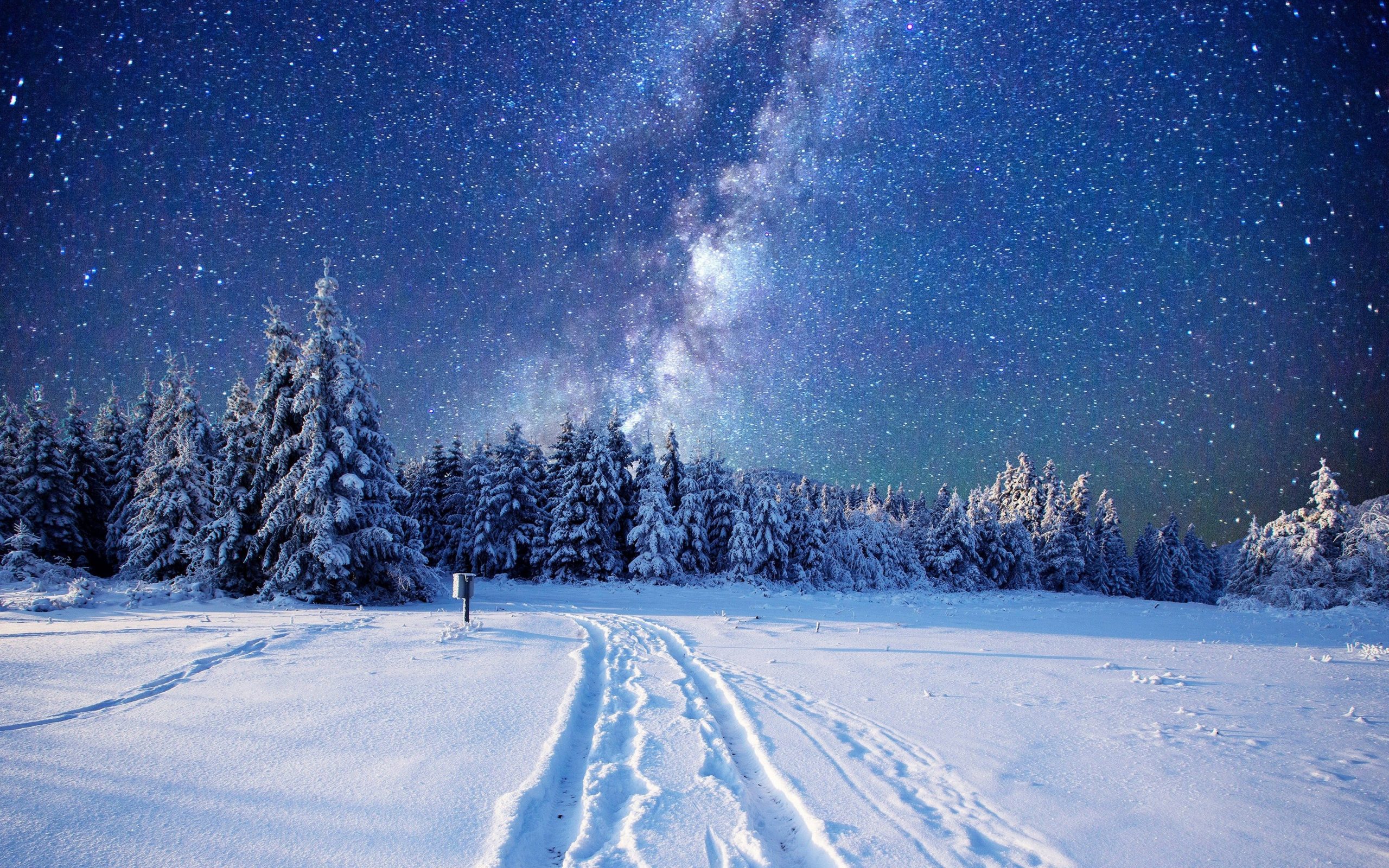 fond d'écran 4k,neige,hiver,ciel,la nature,arbre