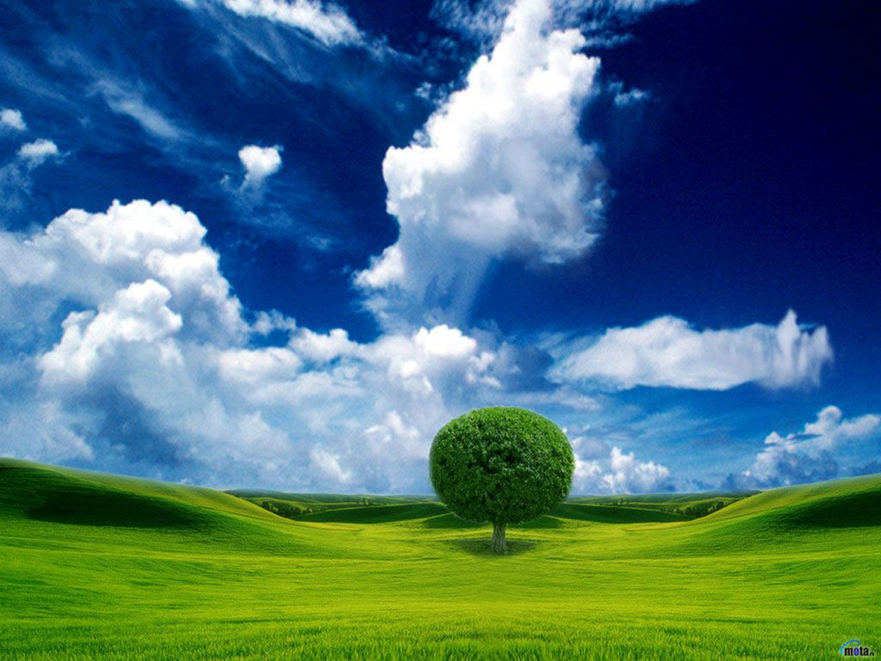 wallpaper,sky,natural landscape,grassland,nature,green