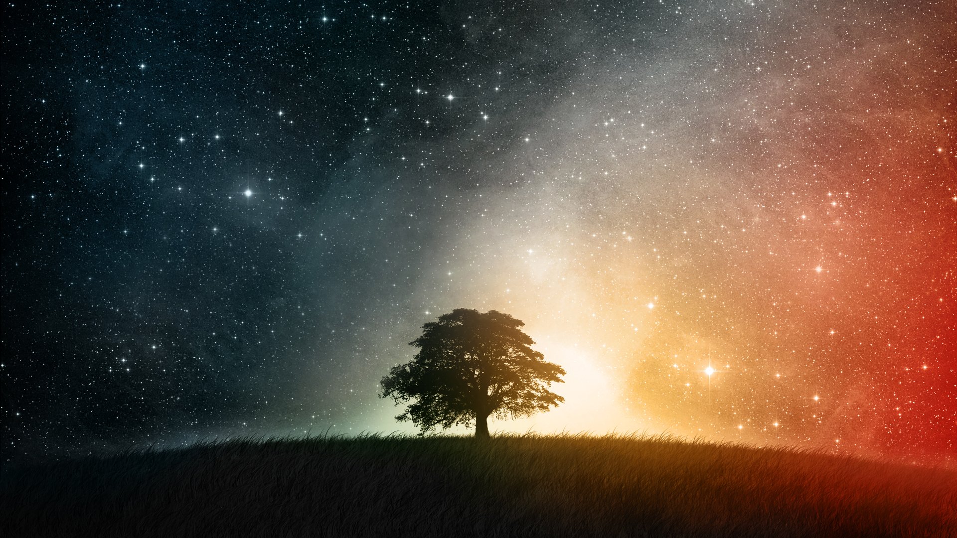 fond d'écran galaxy,ciel,la nature,atmosphère,arbre,paysage naturel