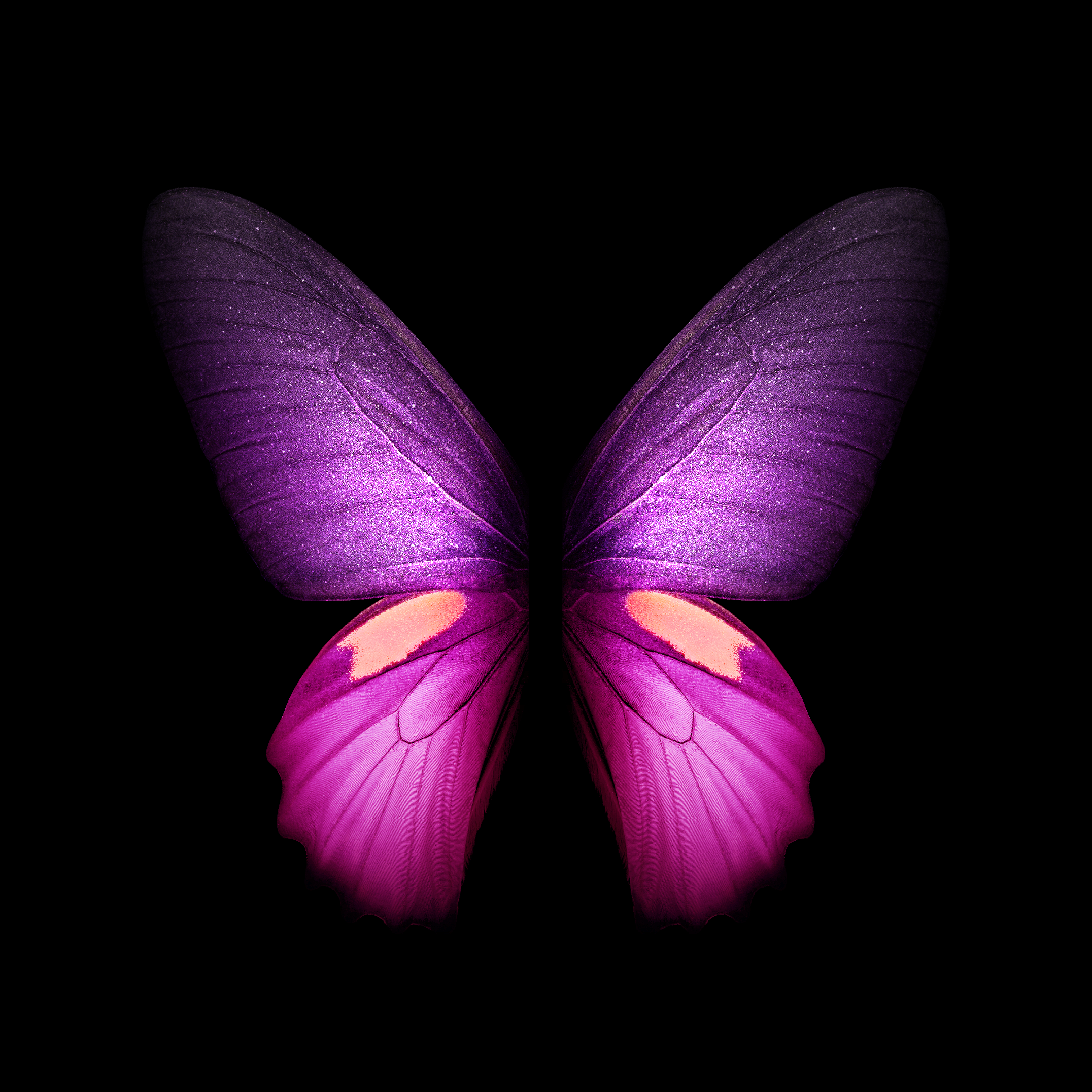 galaxy wallpaper,butterfly,violet,purple,insect,moths and butterflies