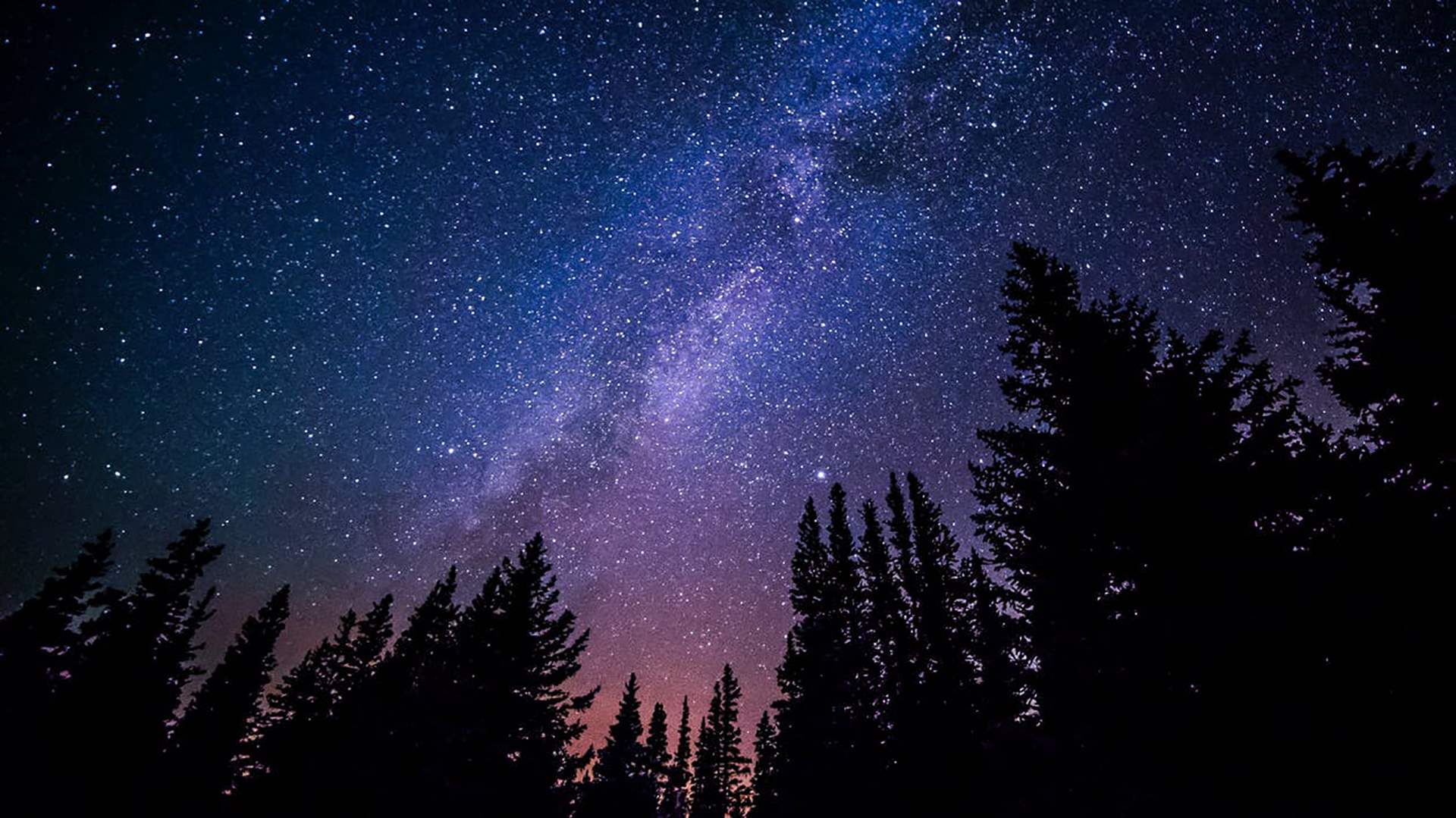 carta da parati galassia,cielo,natura,albero,notte,viola