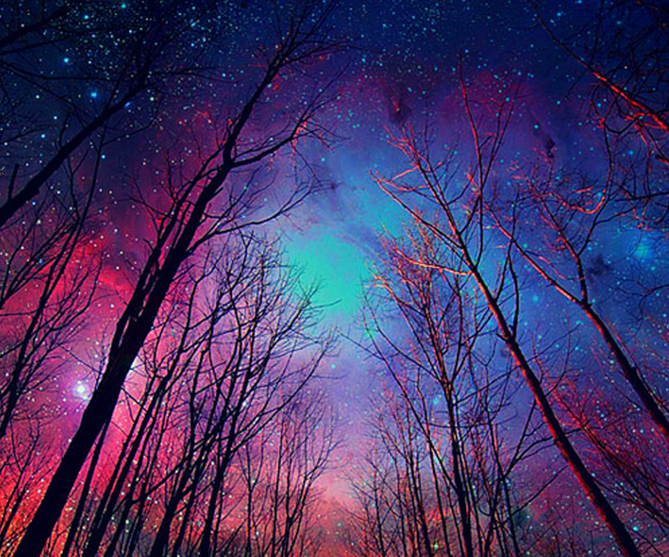 fondo de pantalla de galaxia,cielo,naturaleza,azul,árbol,púrpura