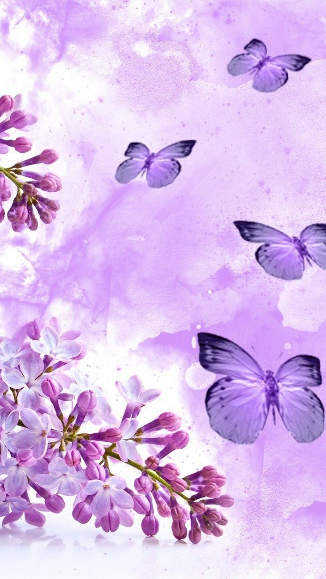 cute wallpapers,violet,purple,lilac,butterfly,lavender