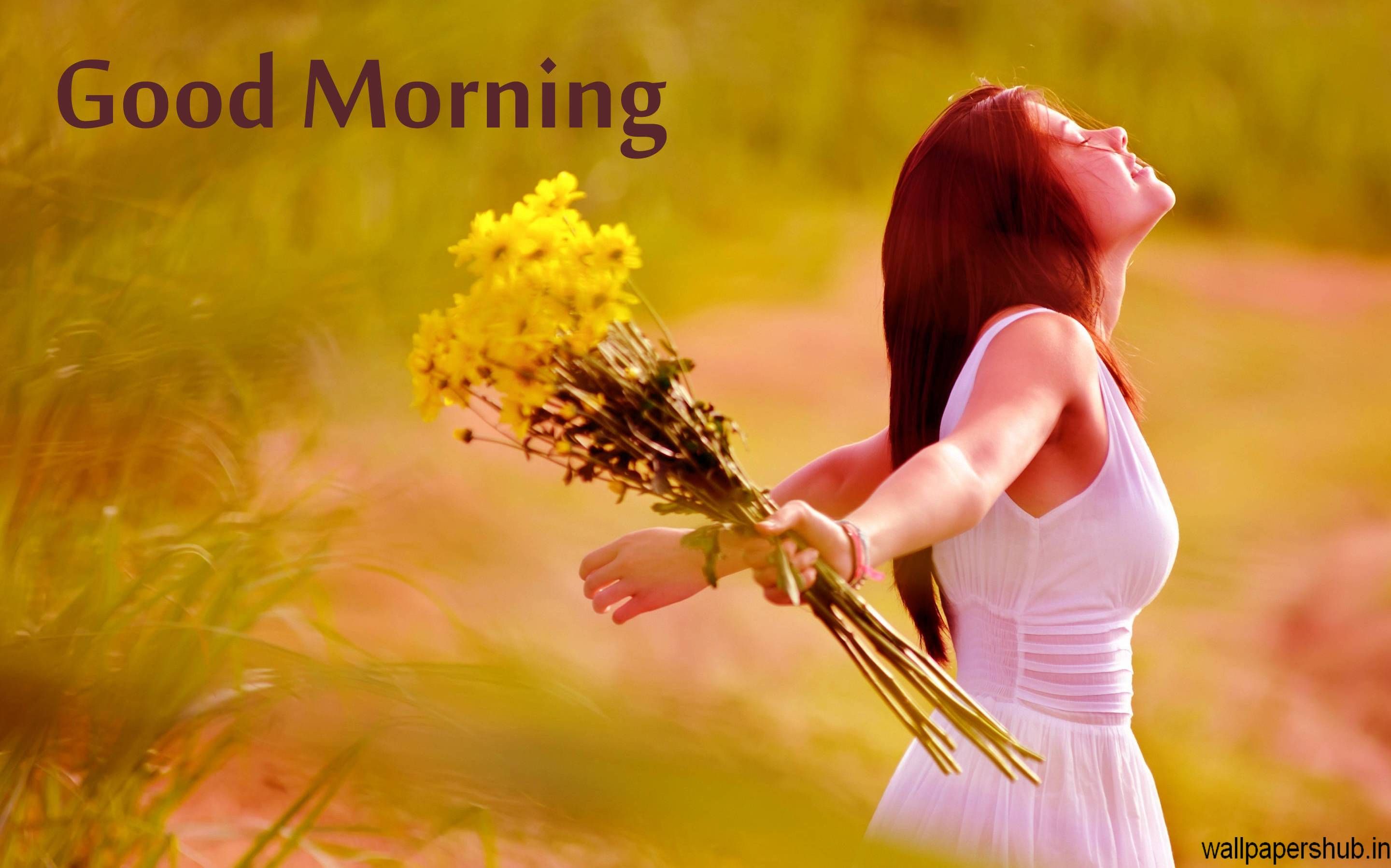 good morning wallpaper,people in nature,nature,yellow,beauty,morning