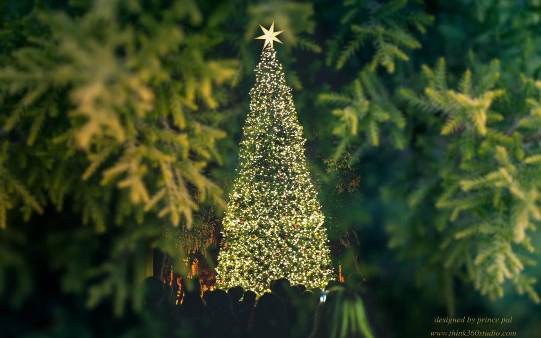 christmas wallpaper,tree,balsam fir,oregon pine,vegetation,colorado spruce