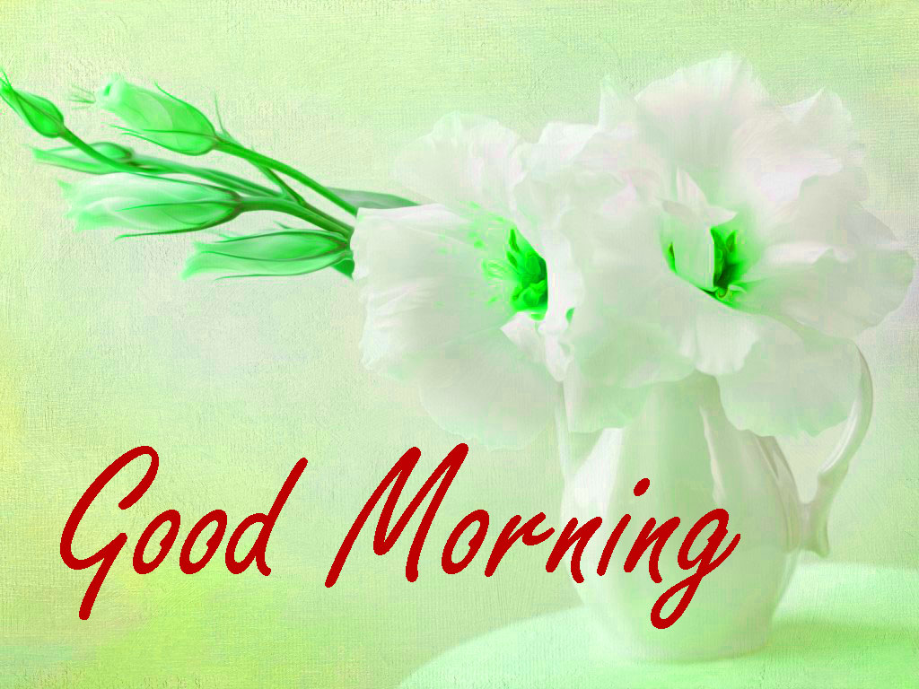 good morning wallpaper,green,text,flower,font,plant