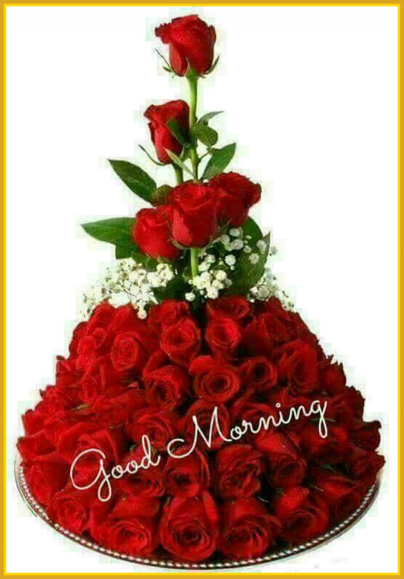 good morning wallpaper,flower,red,bouquet,cut flowers,rose