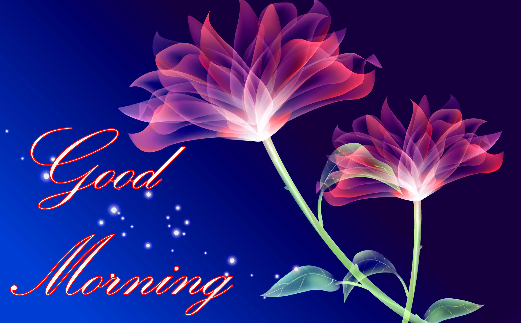 guten morgen tapete,blütenblatt,blume,himmel,pflanze,schriftart