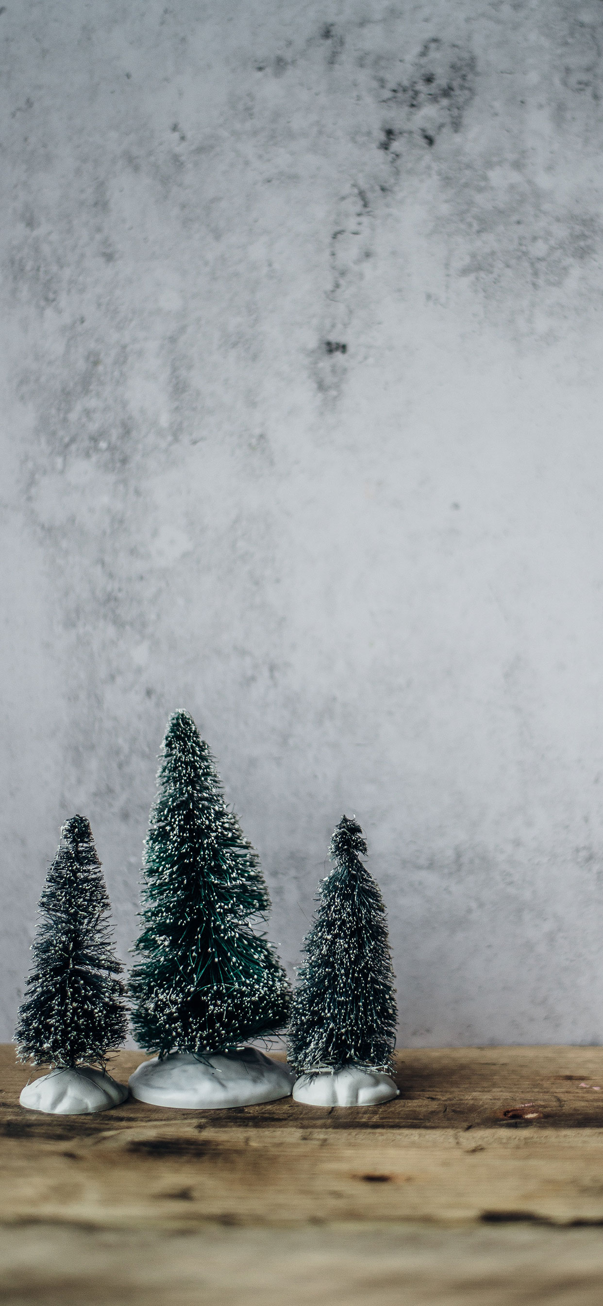 クリスマスの壁紙,木,クリスマスツリー,雪,モミ,凍結