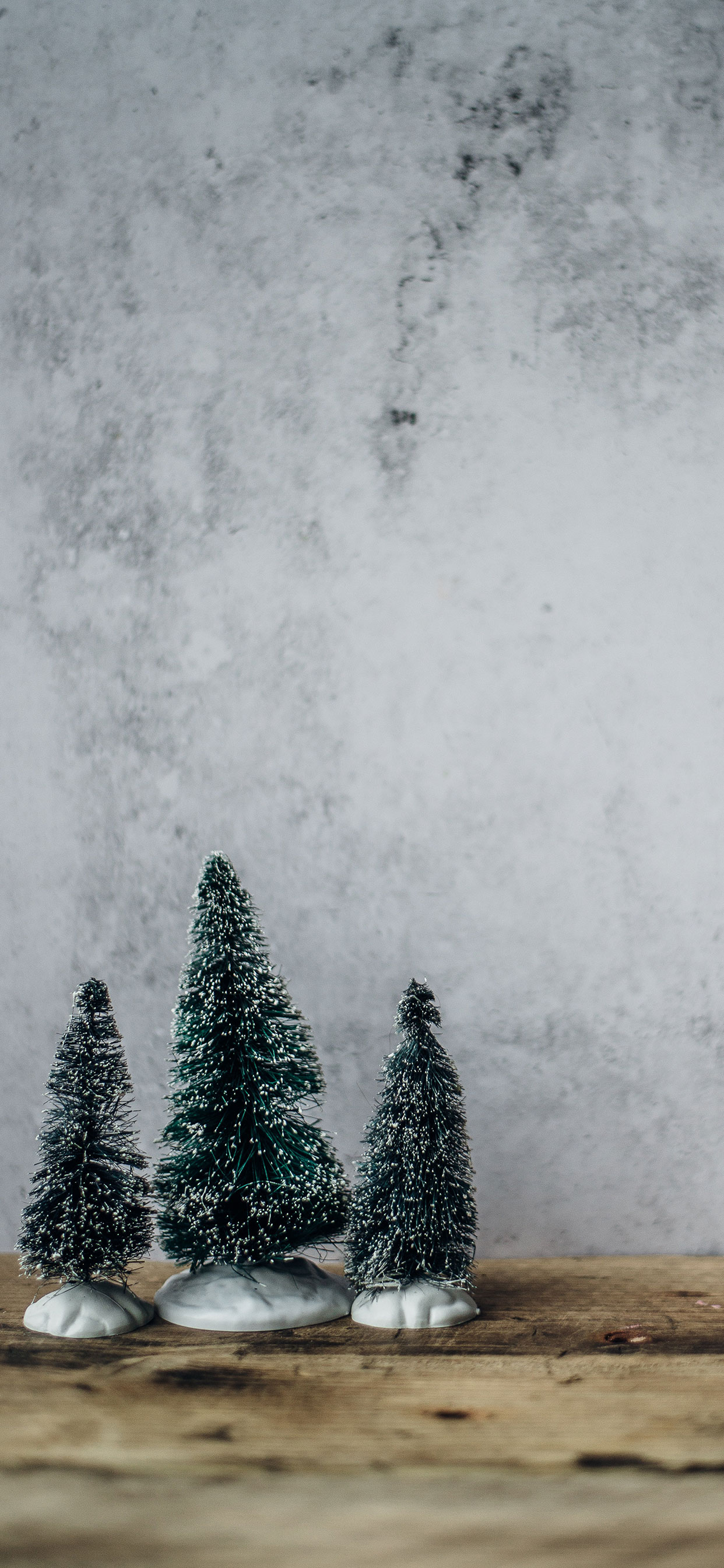 fond d'écran de noël,arbre,sapin de noël,neige,sapin,gelé