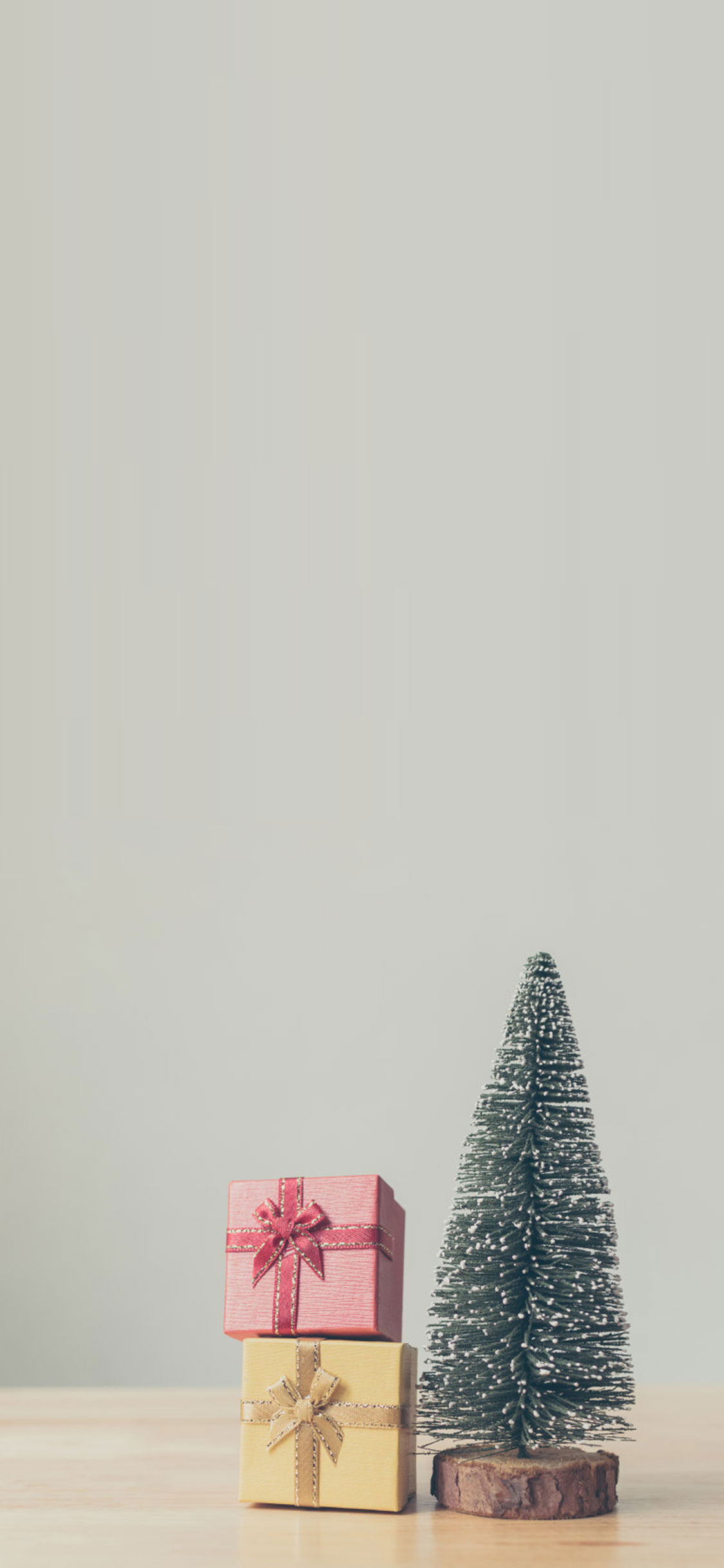 fond d'écran de noël,rose,sapin de noël,arbre,décoration de noël,plante