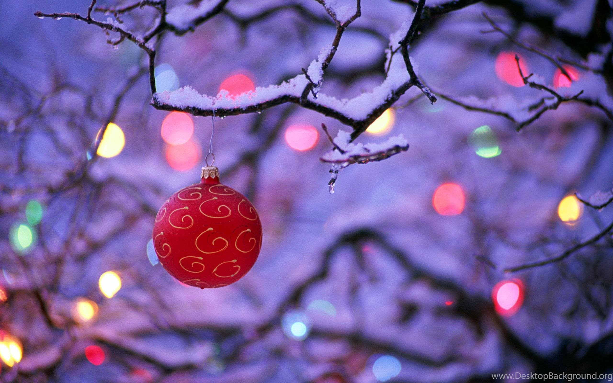 크리스마스 벽지,나무,빨간,보라색,조명,작은 가지