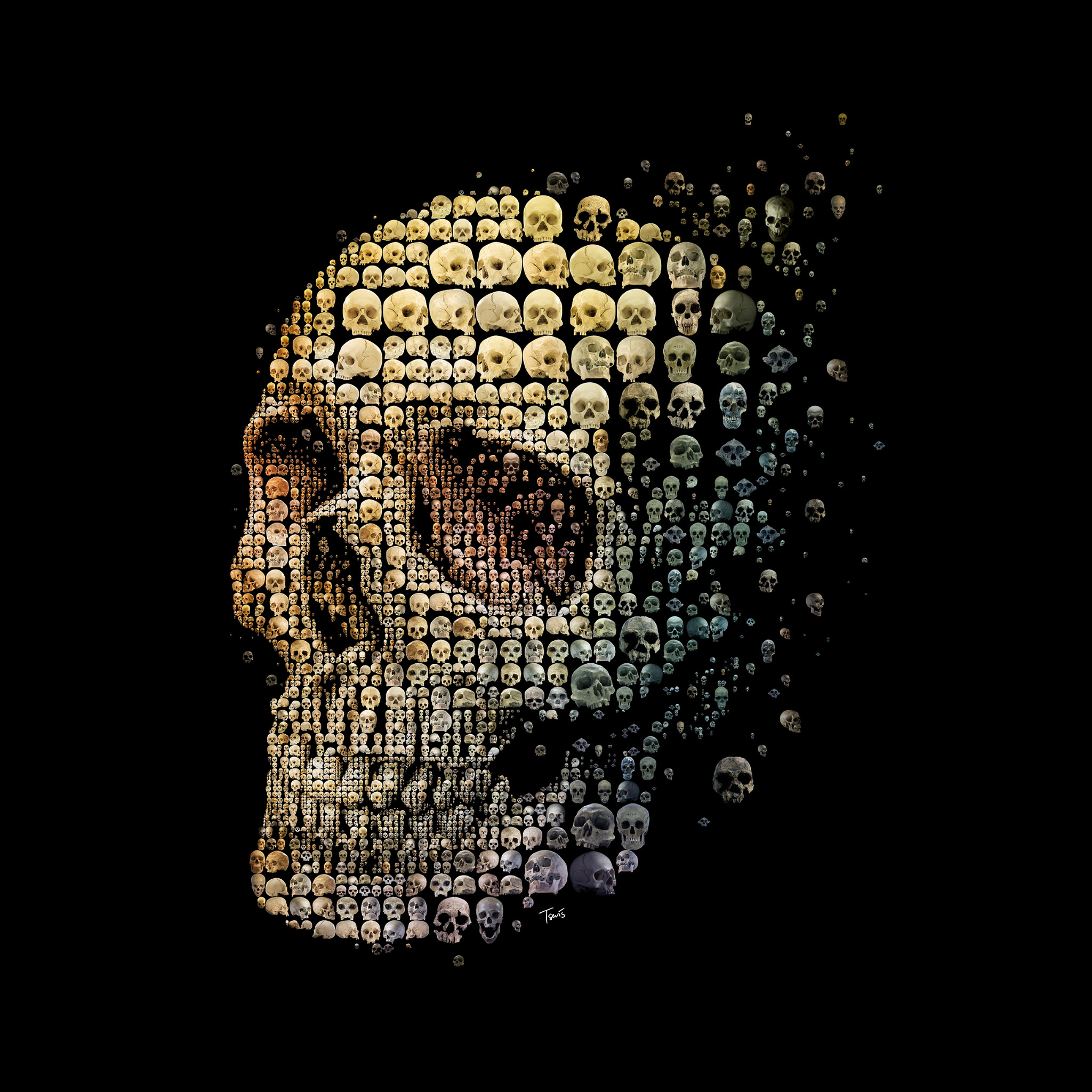 cool wallpapers,head,skull,illustration,human,font