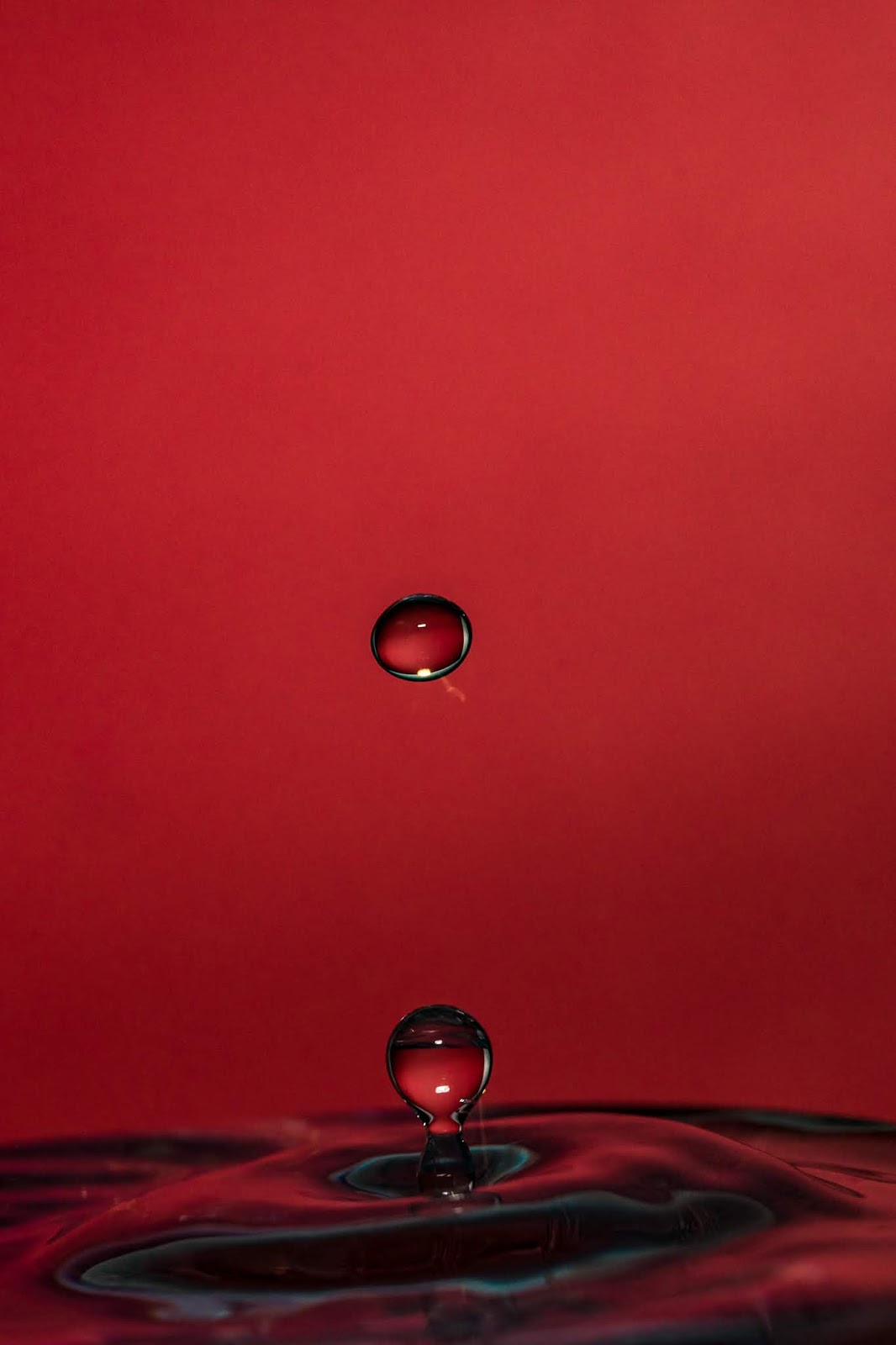 free wallpaper,drop,water,red,still life photography,liquid