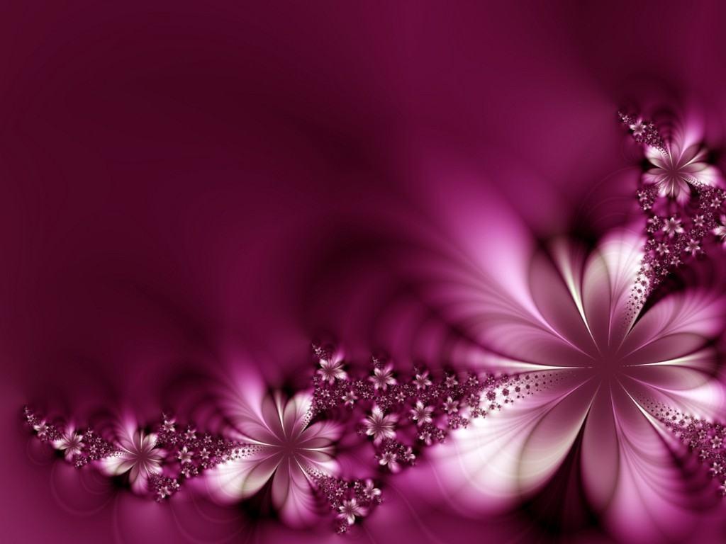 girly wallpapers,pink,nature,macro photography,purple,water