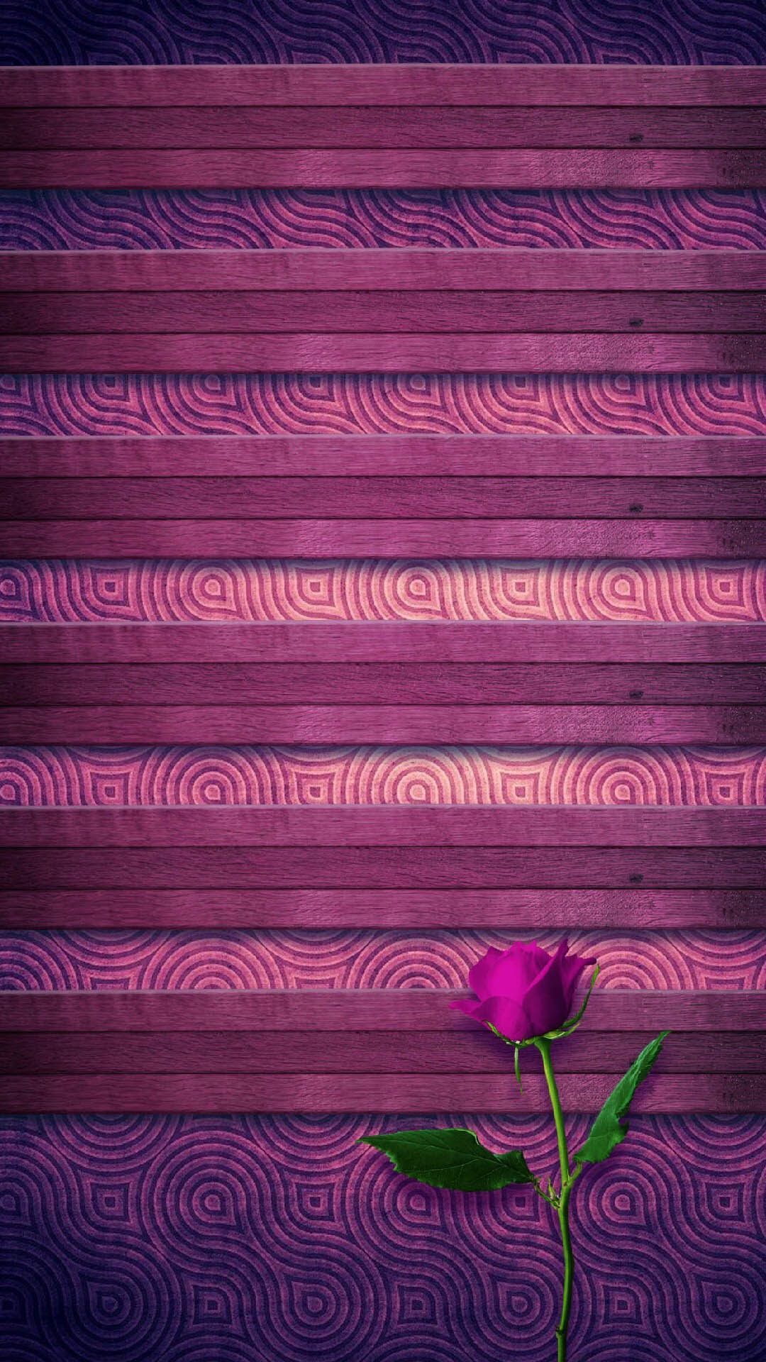 girly tapeten,violett,lila,rosa,lila,lavendel