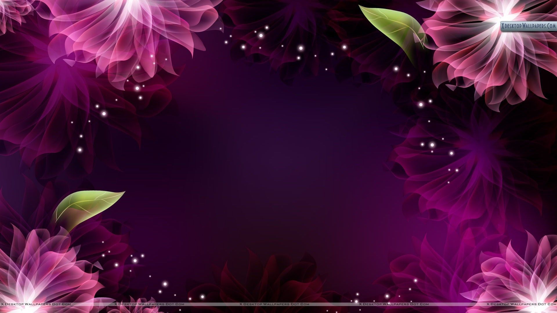 wallpapers and backgrounds,violet,pink,purple,petal,magenta