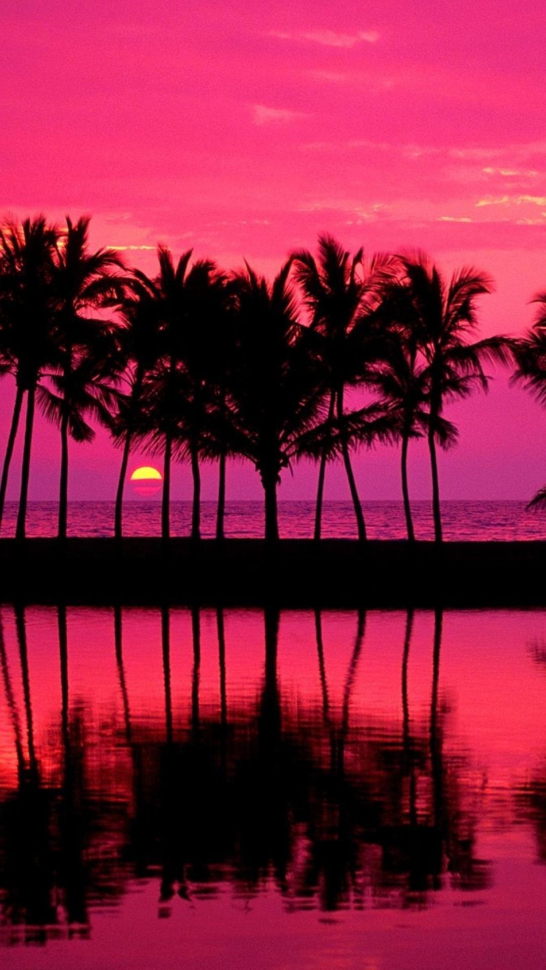 fondos de pantalla femeninos,naturaleza,cielo,puesta de sol,árbol,reflexión