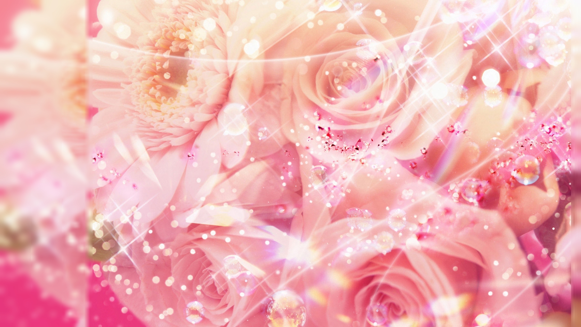 girly wallpapers,pink,garden roses,flower,rose,pattern