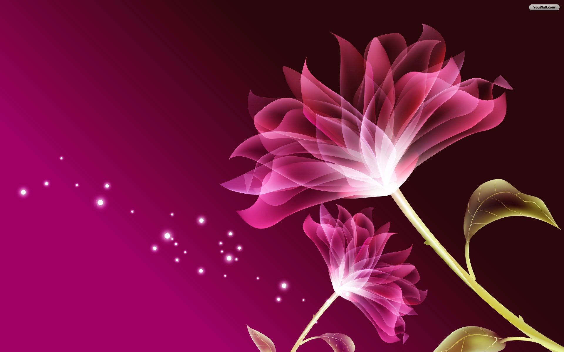 free wallpaper,pink,petal,flower,graphic design,plant