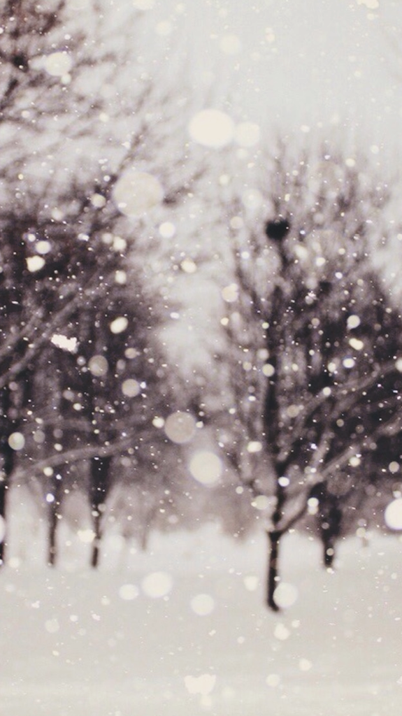 wallpapers and backgrounds,snow,winter,tree,freezing,atmospheric phenomenon