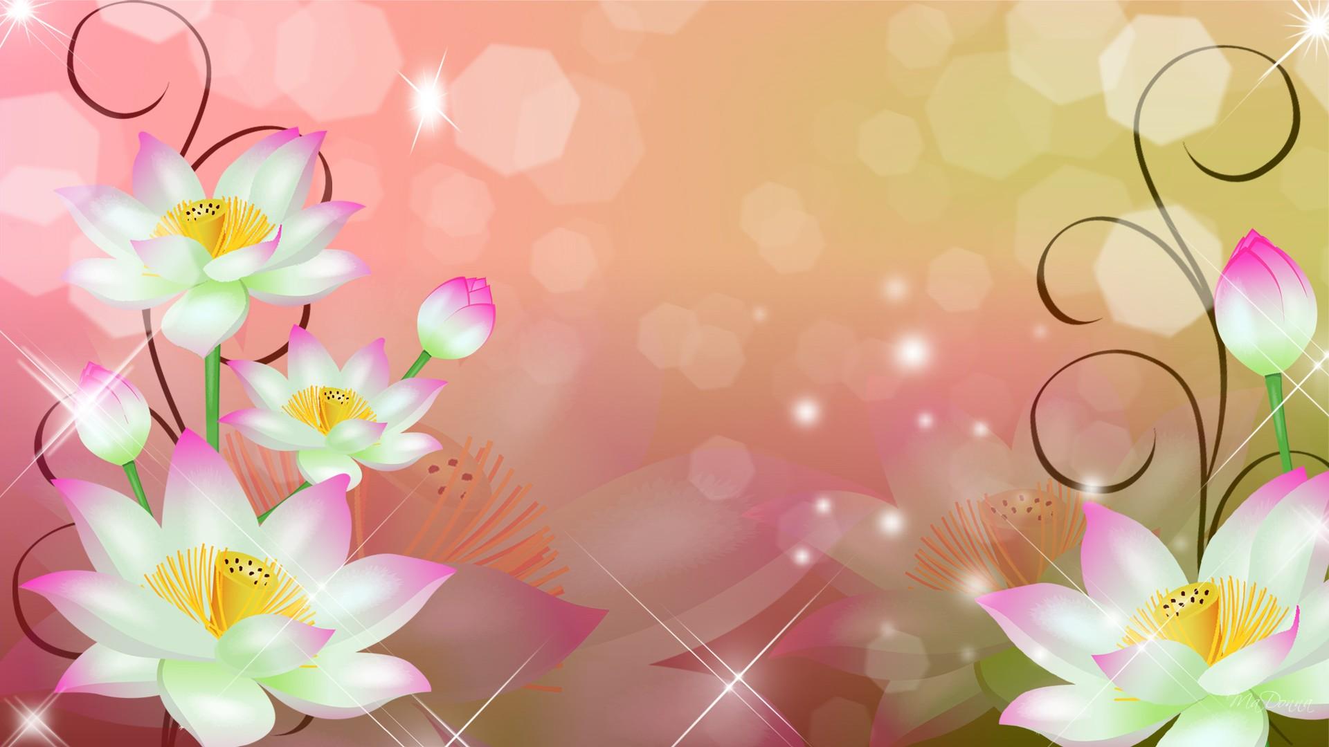 fondos de pantalla y fondos,pétalo,rosado,flor,primavera,frangipani