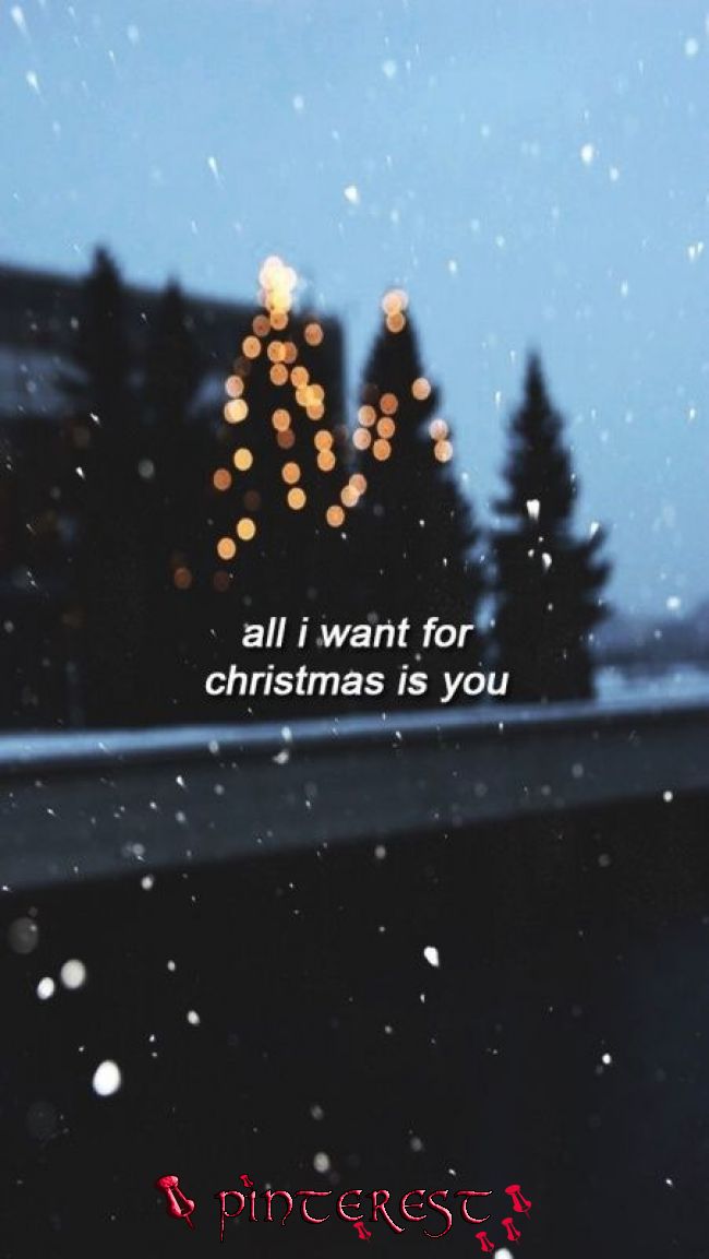 wallpapers and backgrounds,text,tree,sky,christmas tree,font