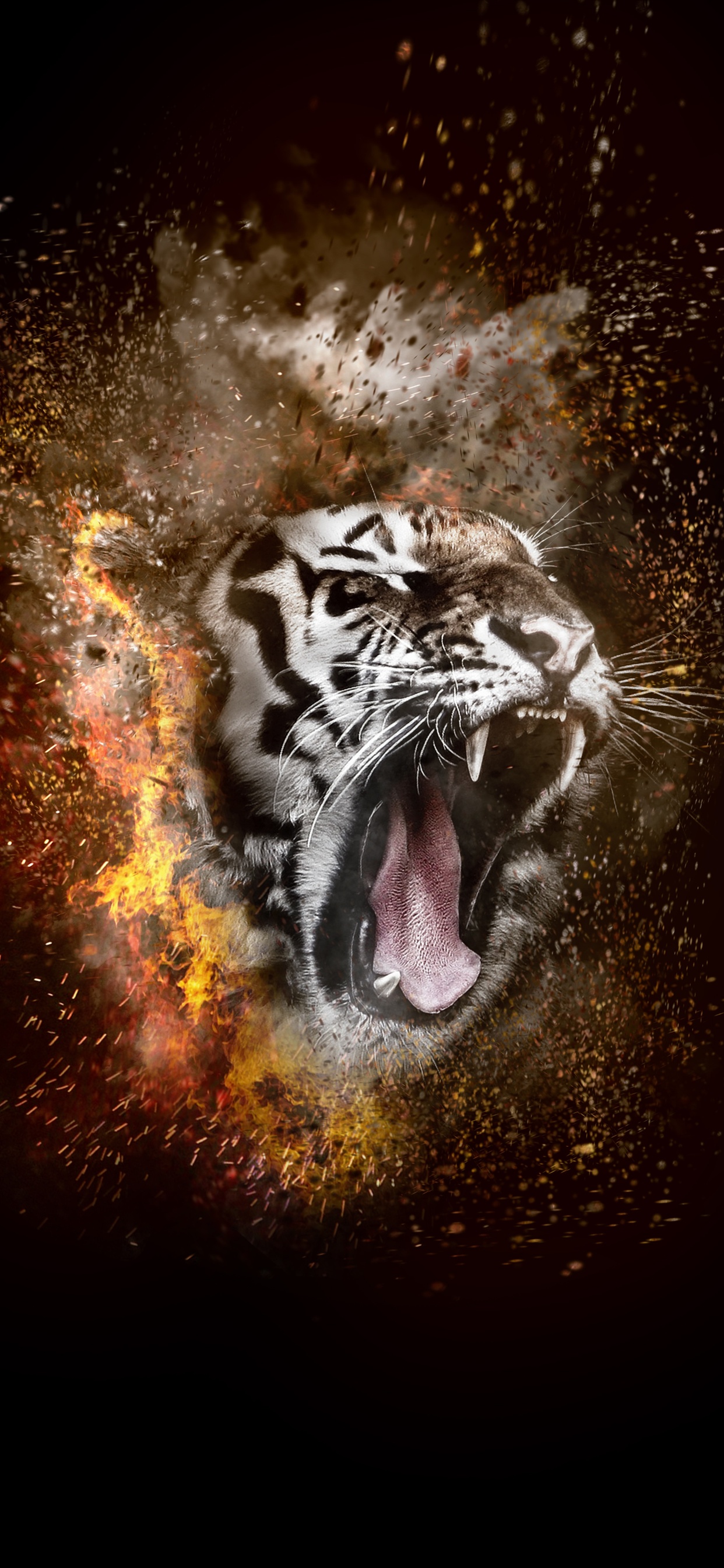 free wallpaper,tiger,bengal tiger,roar,felidae,siberian tiger