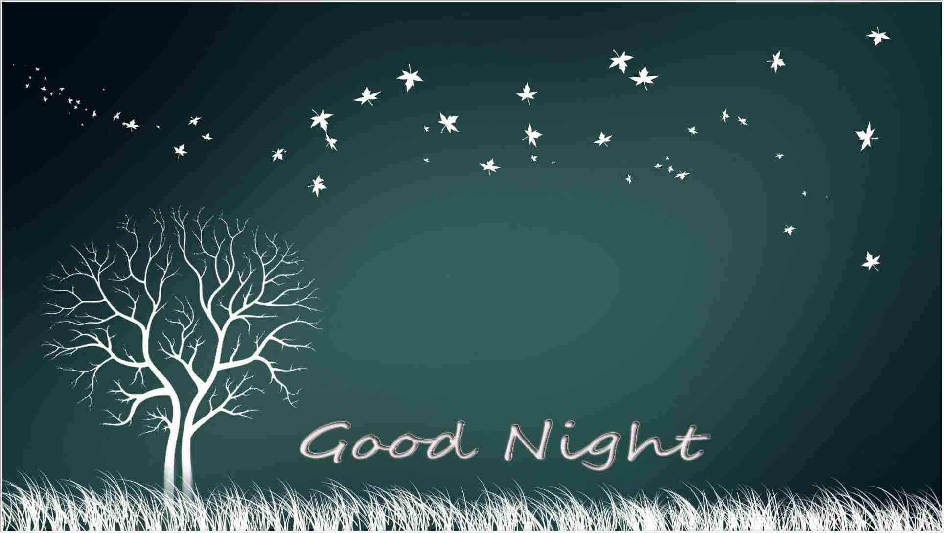 gute nacht tapete,text,himmel,schriftart,baum,illustration