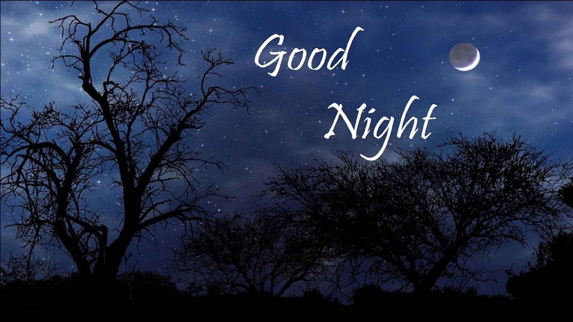 good night wallpaper,sky,moonlight,text,night,branch