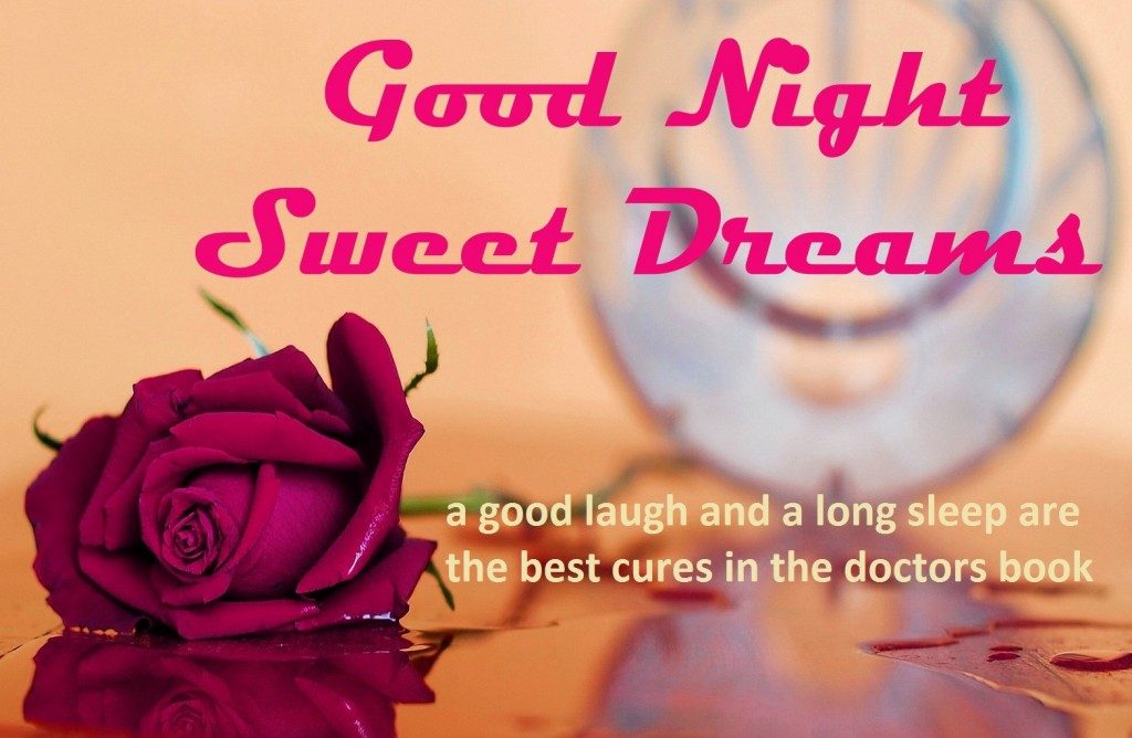 good night wallpaper,text,pink,font,petal,rose