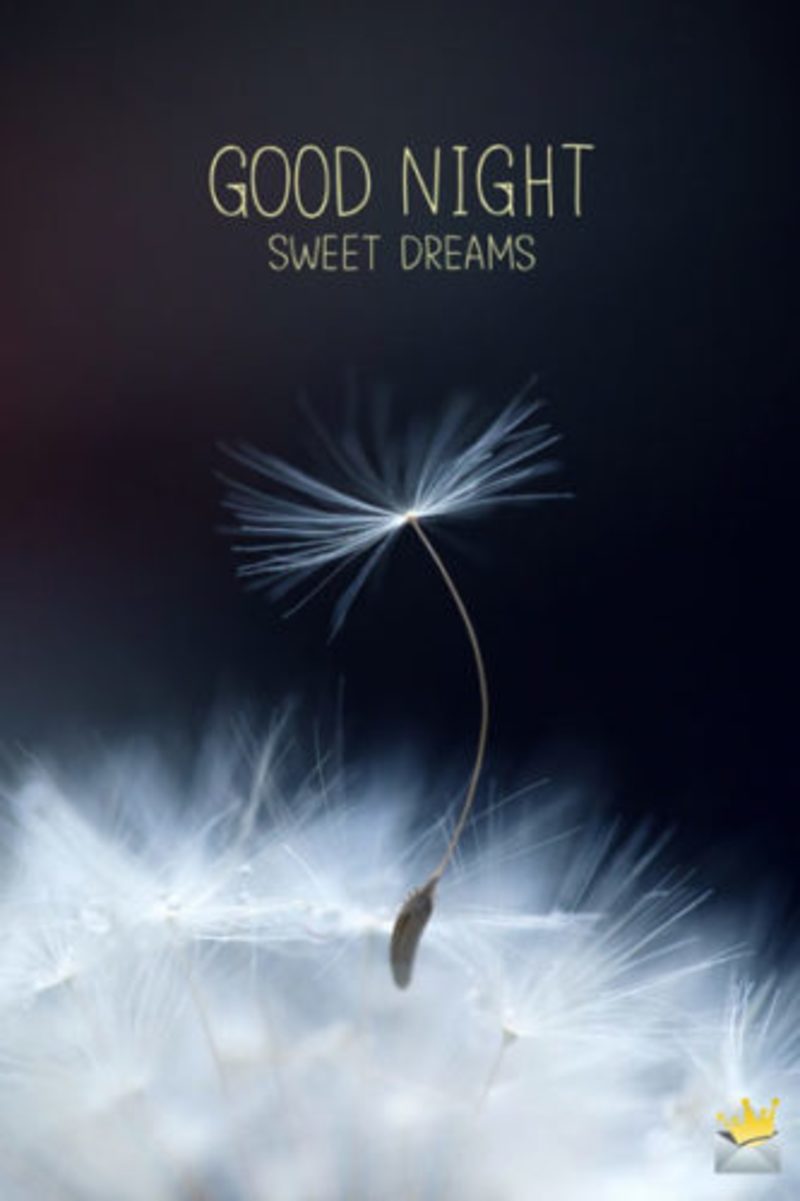 good night wallpaper,dandelion,dandelion,sky,text,feather