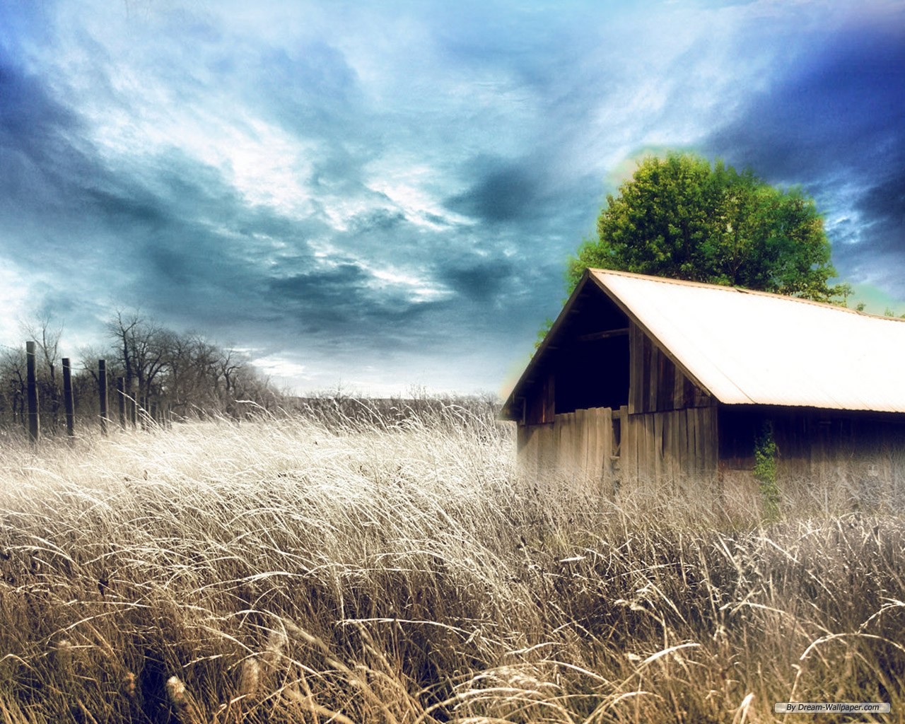 free wallpaper,natural landscape,nature,sky,grass,grassland